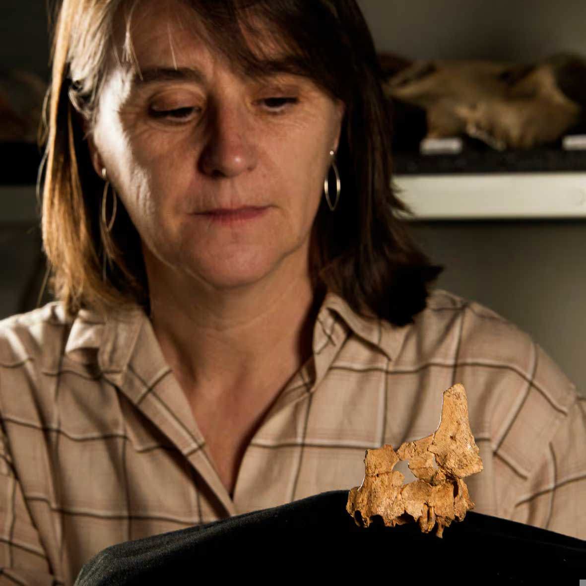 Dr Rosa Huguet of the University of Rovira i Virgili in southern Catalonia, pictured with the bone fragment.