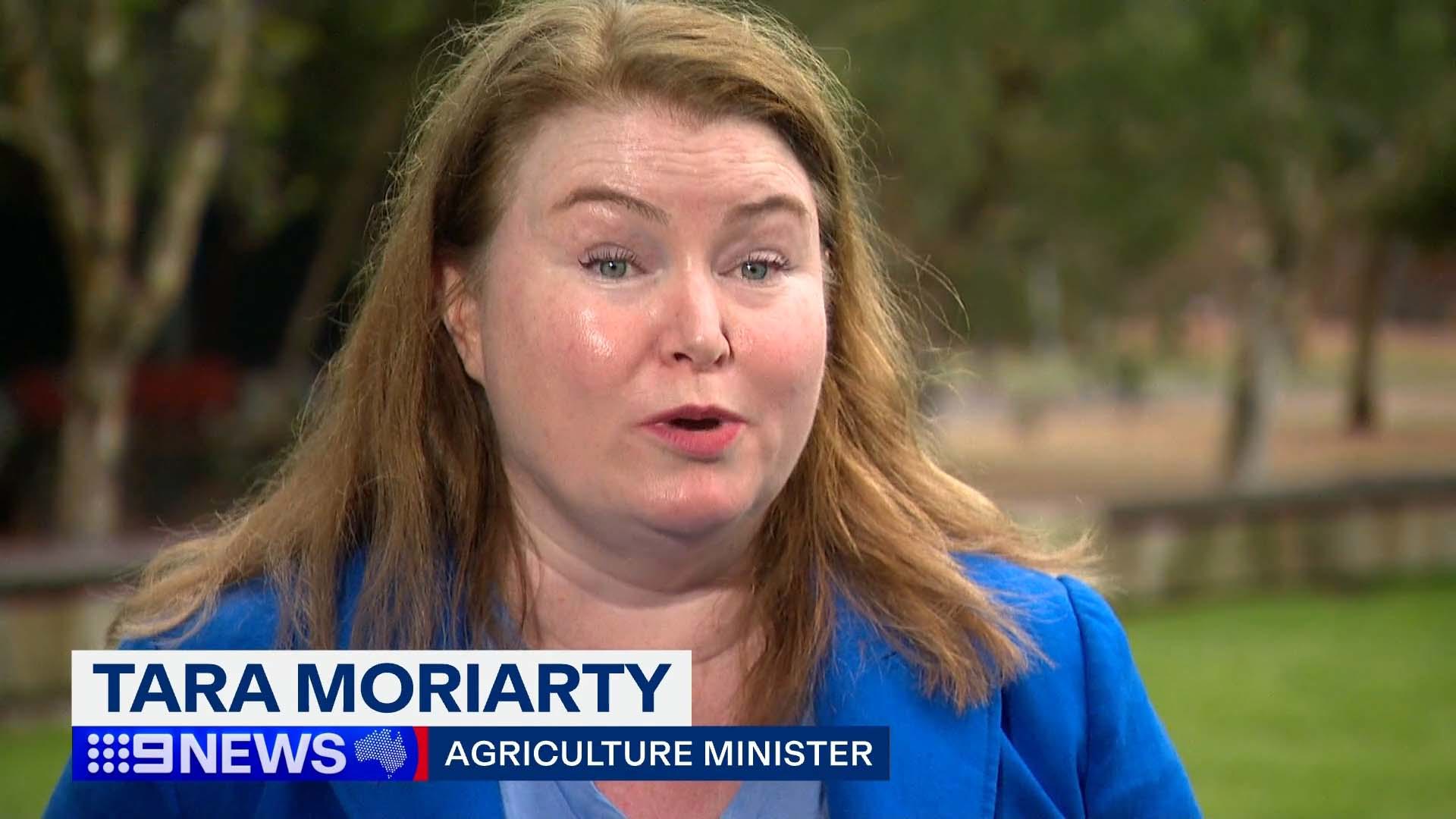 Agriculture Minister Tara Moriarty said: "There's been over 7000 submissions over the last couple of years about what we can do to strengthen animal welfare laws.