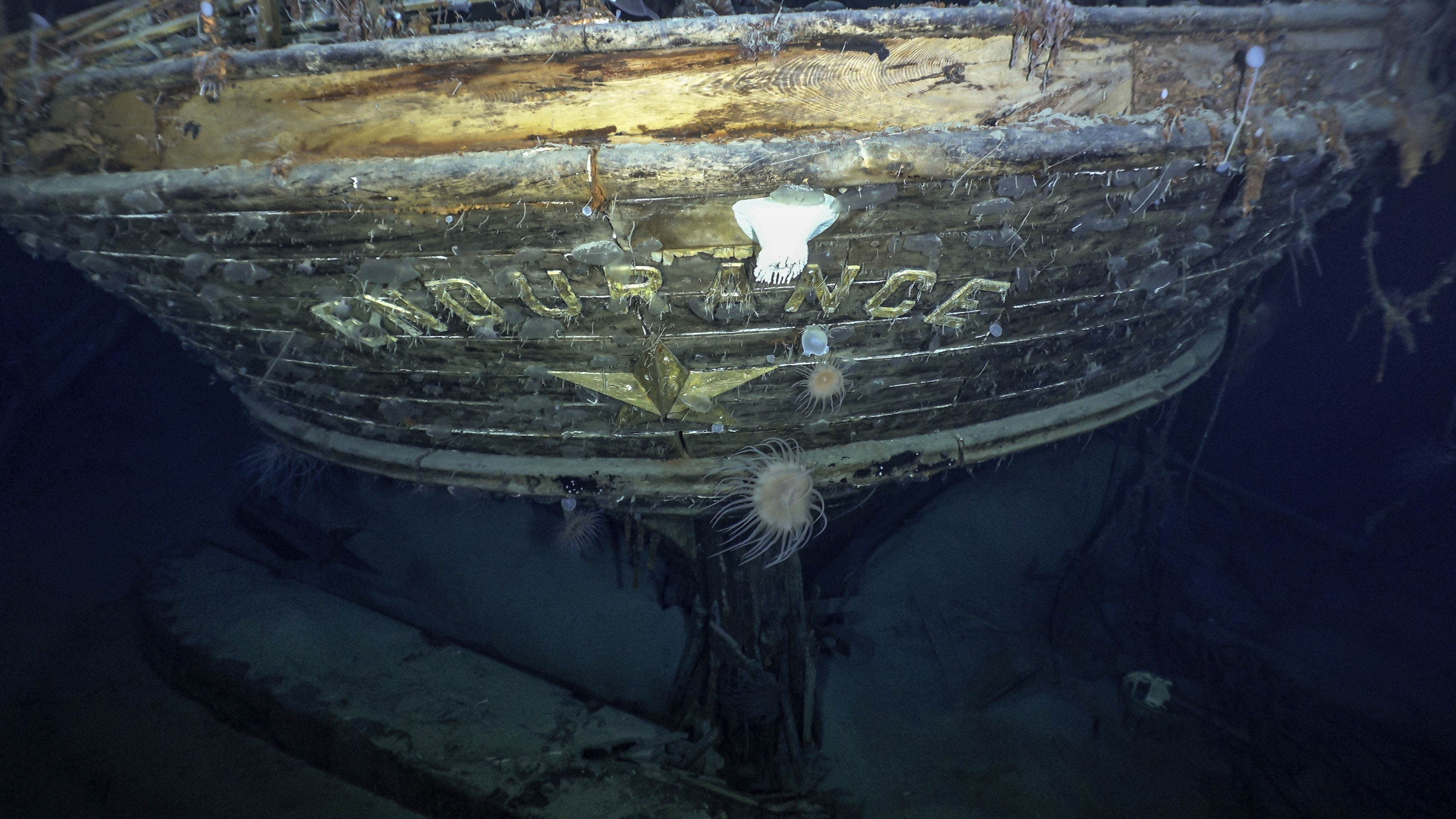  Sir Ernest Shackleton's ship which has not been seen since it was crushed by the ice and sank in the Weddell Sea in 1915. 