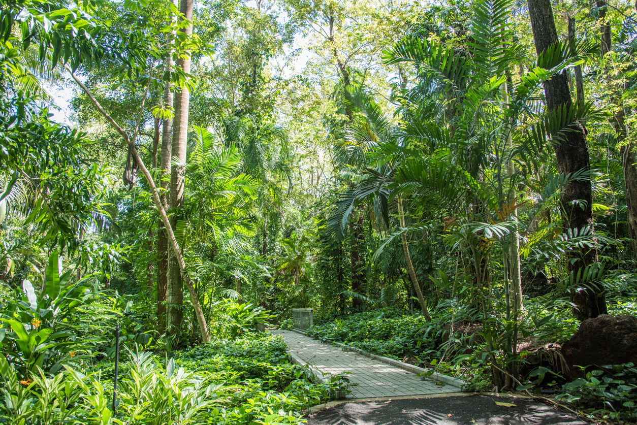 Darwin Botanical Gardens