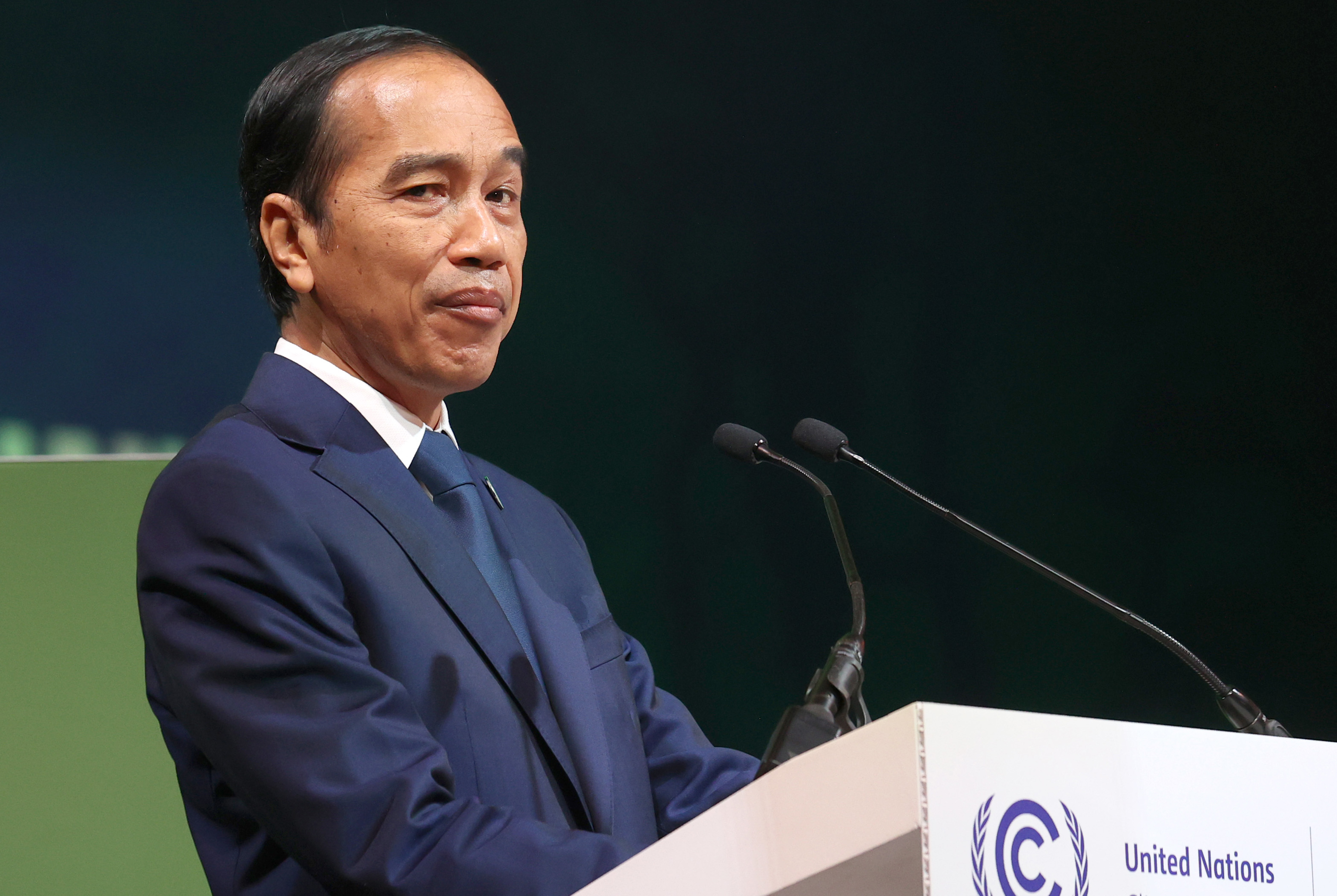 President Joko Widodo first announced the capital would be relocated in 2019