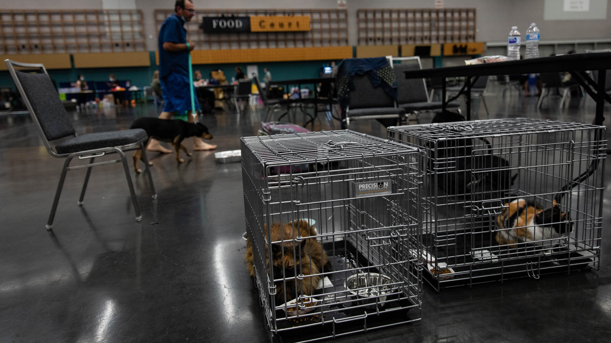 Pets sit in crates at a public cooling shelter set up at the Oregon Convention Center during a heatwave in Portland, Oregon, USA.