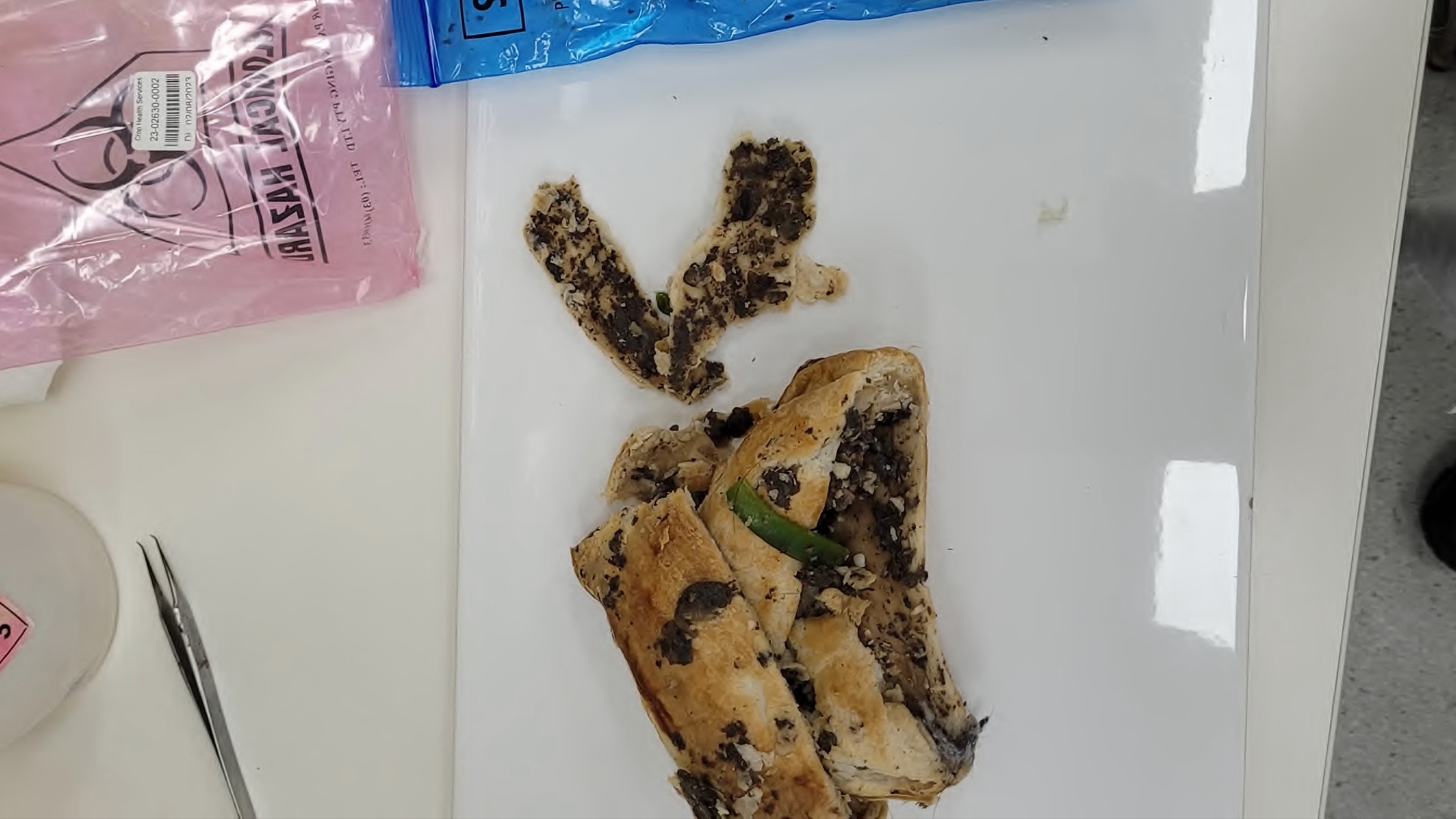Beef Wellington leftovers, recovered from Erin Patterson's bin and sent to scientists for testing.