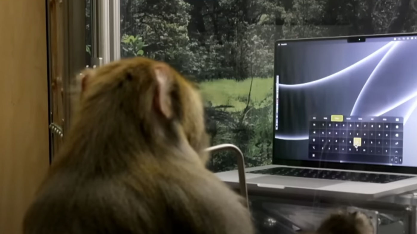 The monkey in Elon Musk's experiment purportedly asking for some snacks.