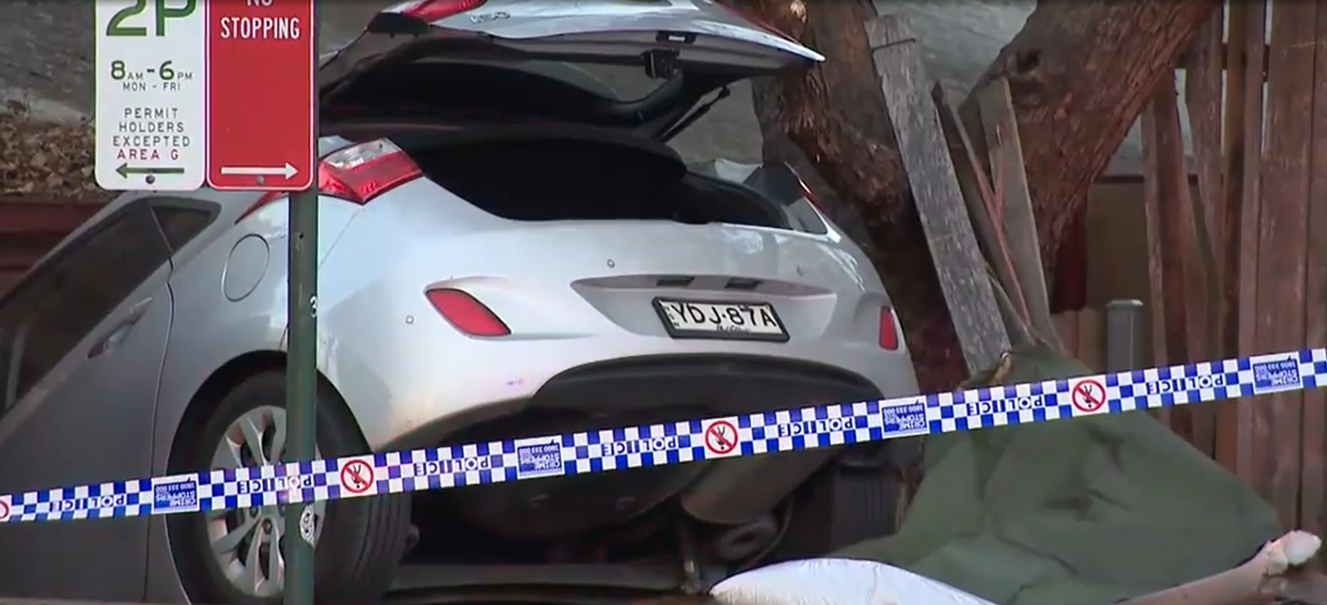 A pet dog has been killed after a car crashed and flew into a backyard in Sydney's inner city.