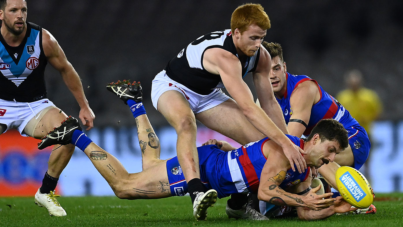 Willem Drew Tom Liberatore