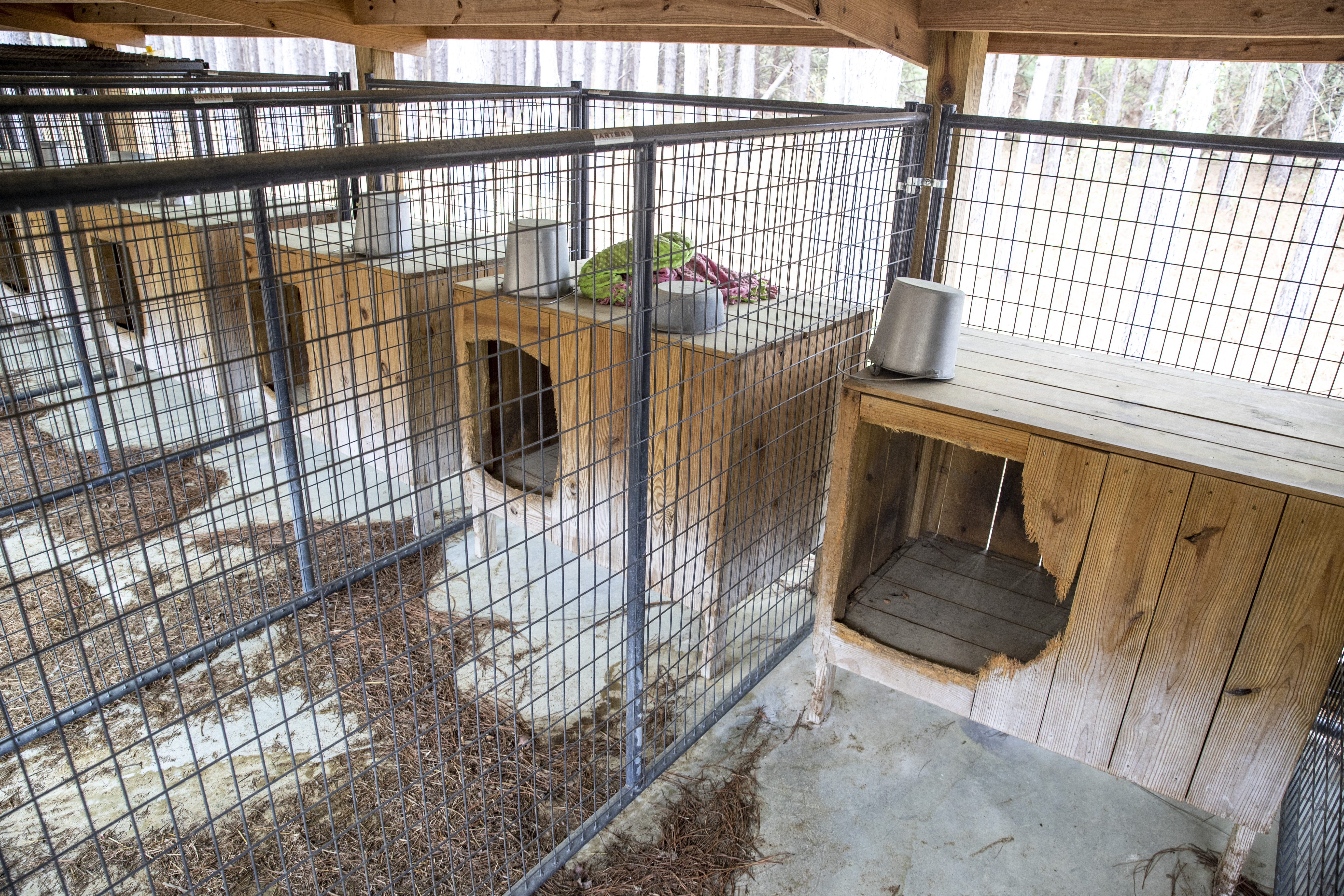 Dog kennels at the Murdaugh Moselle property on Wednesday, March 1, 2023 in Islandton, S.C.