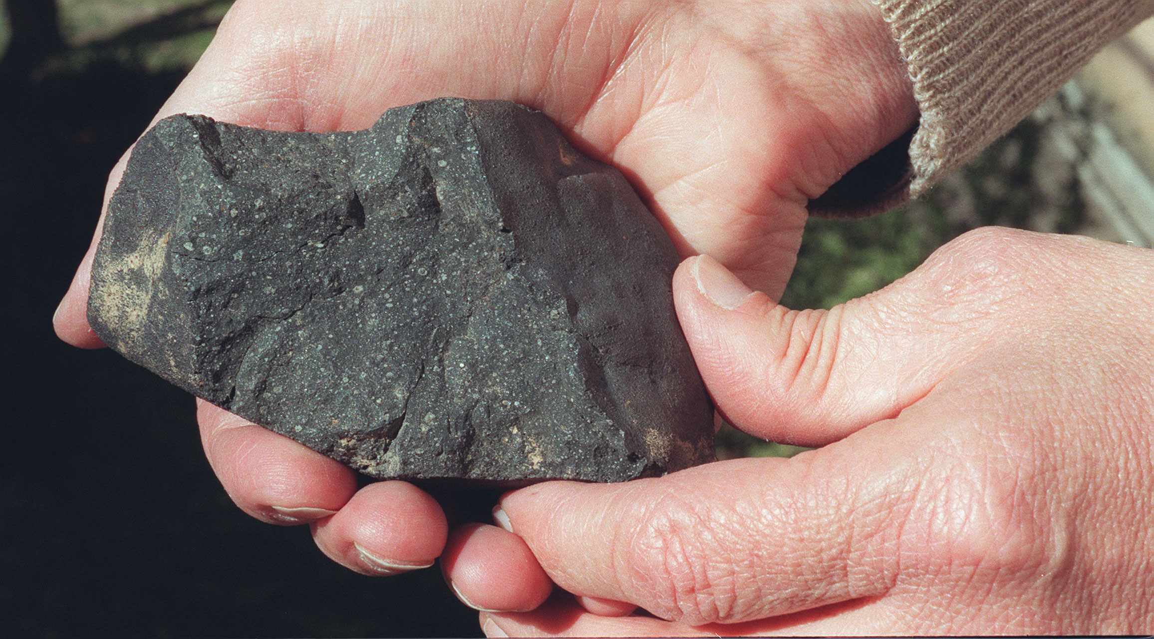 The Murchison meteorite was used in the study by scientists who found DNA molecules on meteors that landed on Earth.  