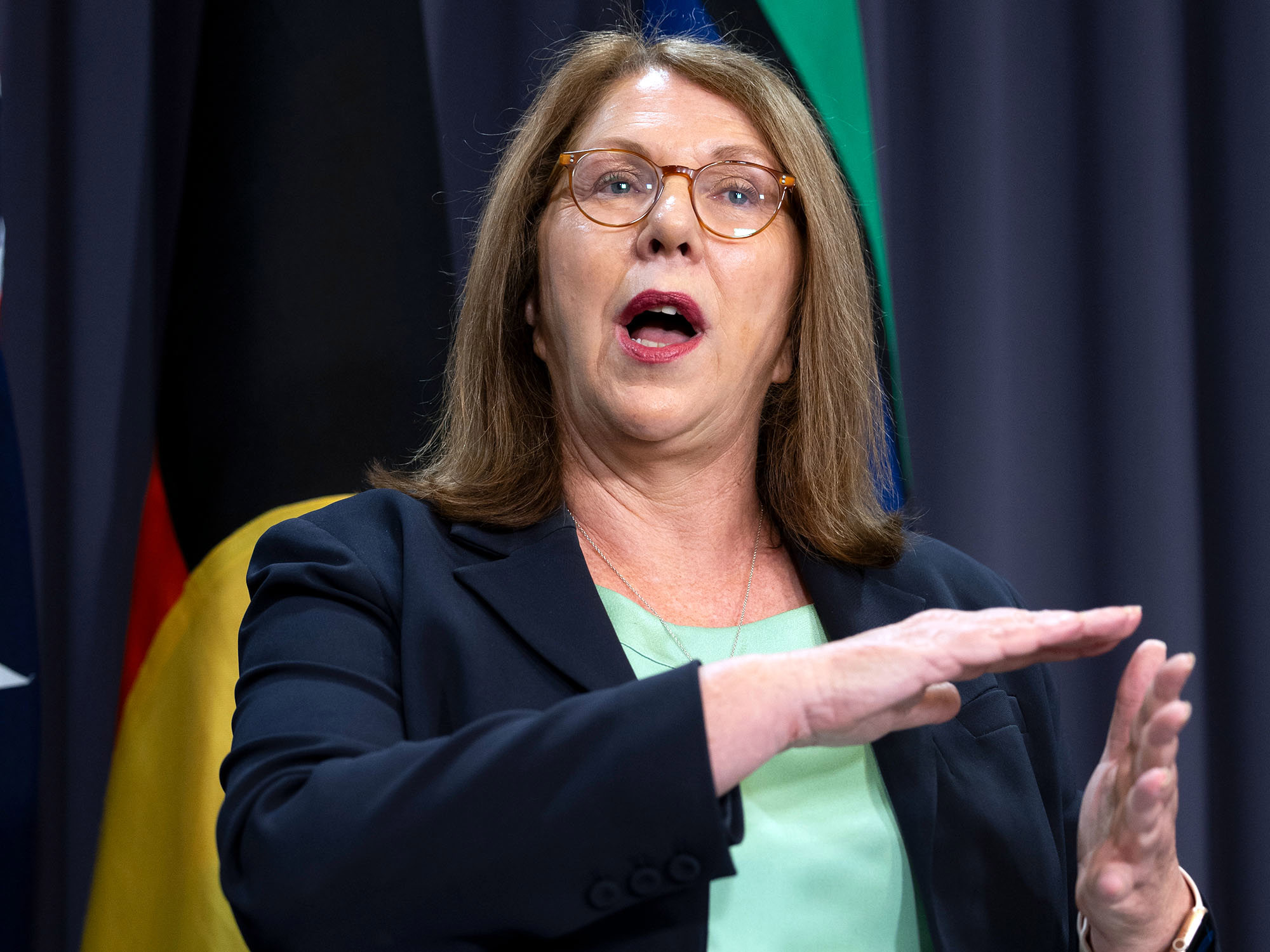 Catherine King during a press conference at Parliament House