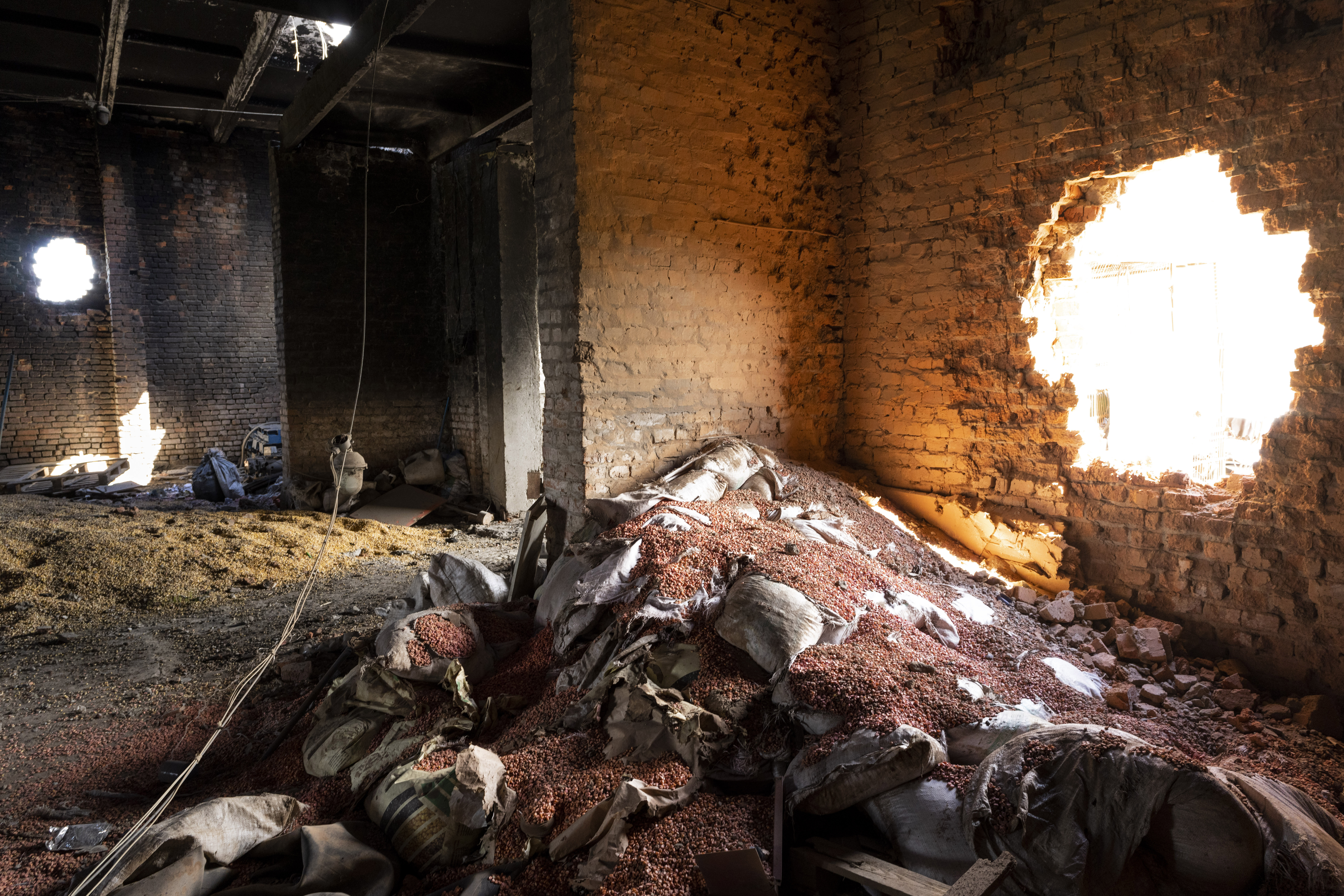 FILE - Scattered grain sits inside a warehouse damaged by Russian attacks in Cherkaska Lozova, outskirts of Kharkiv, eastern Ukraine, May 28, 2022. 