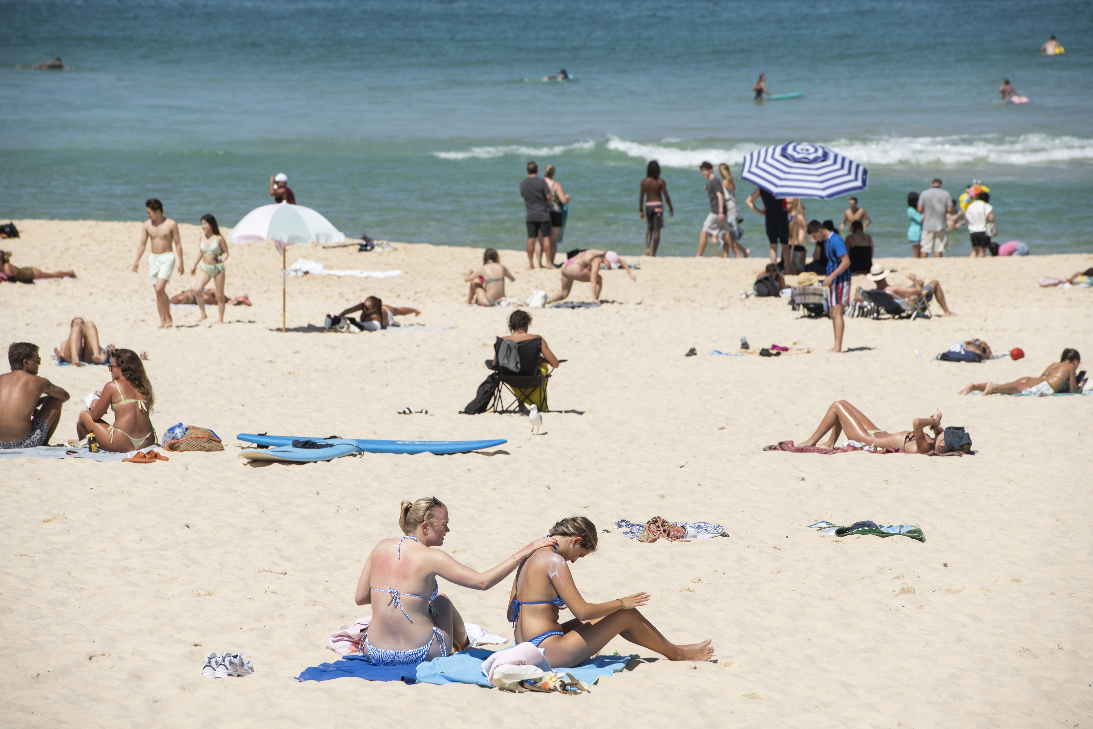 Sydney's last dash of Summer at Bondi 14th March 2025 Photo: Steven Siewert