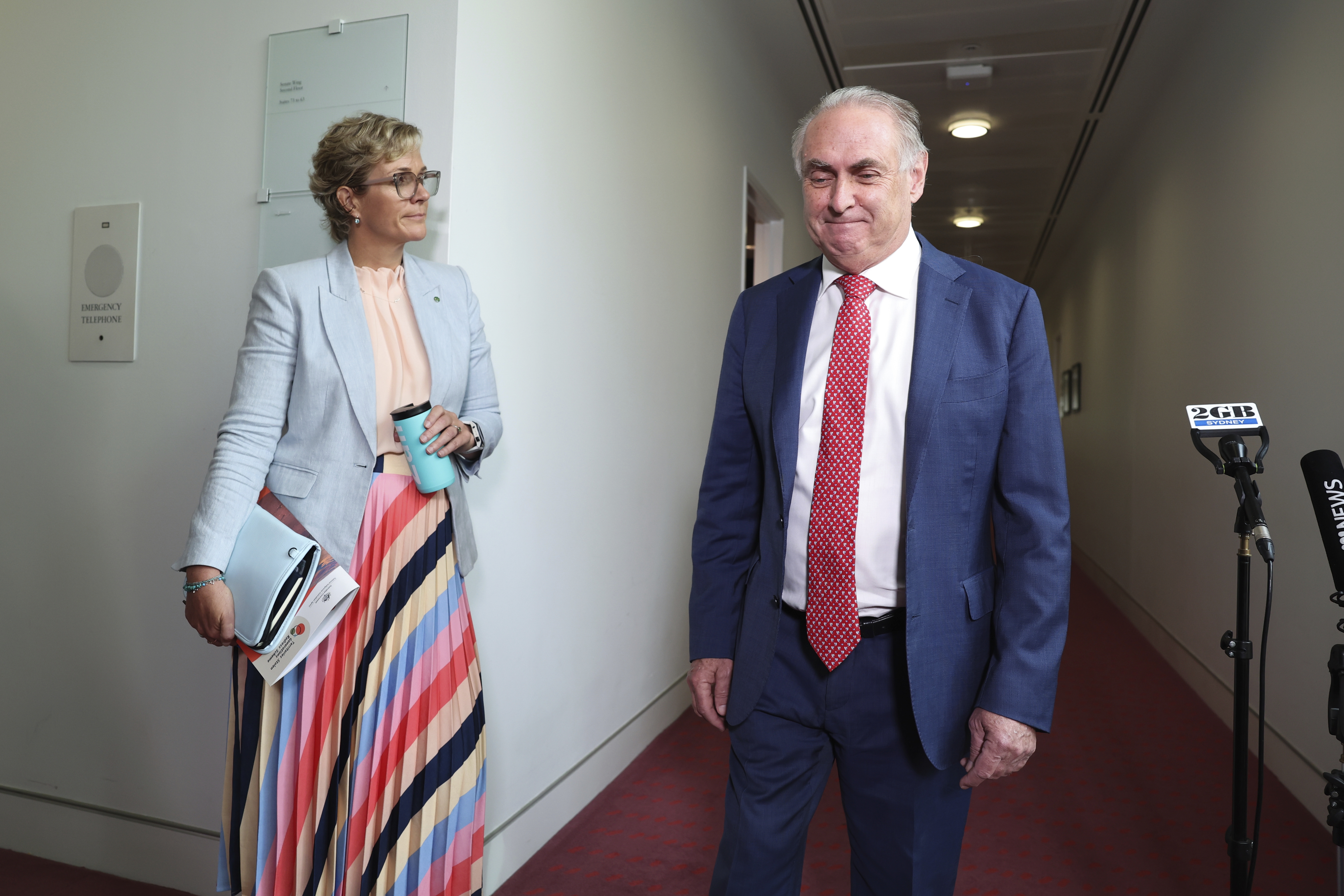 Teal MP clashes with Labor minister as electoral reforms pass Senate