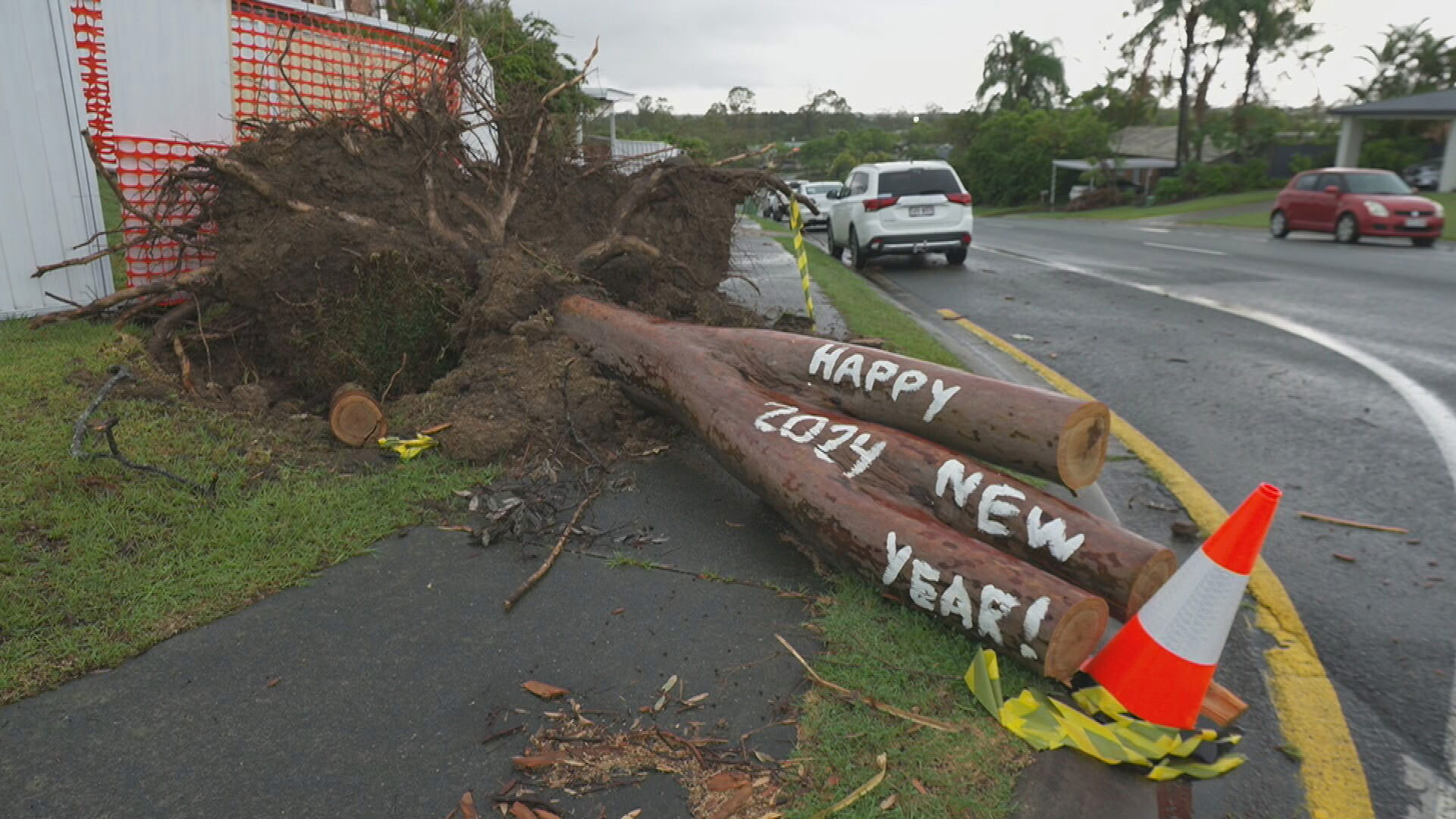 Winds knock tree over