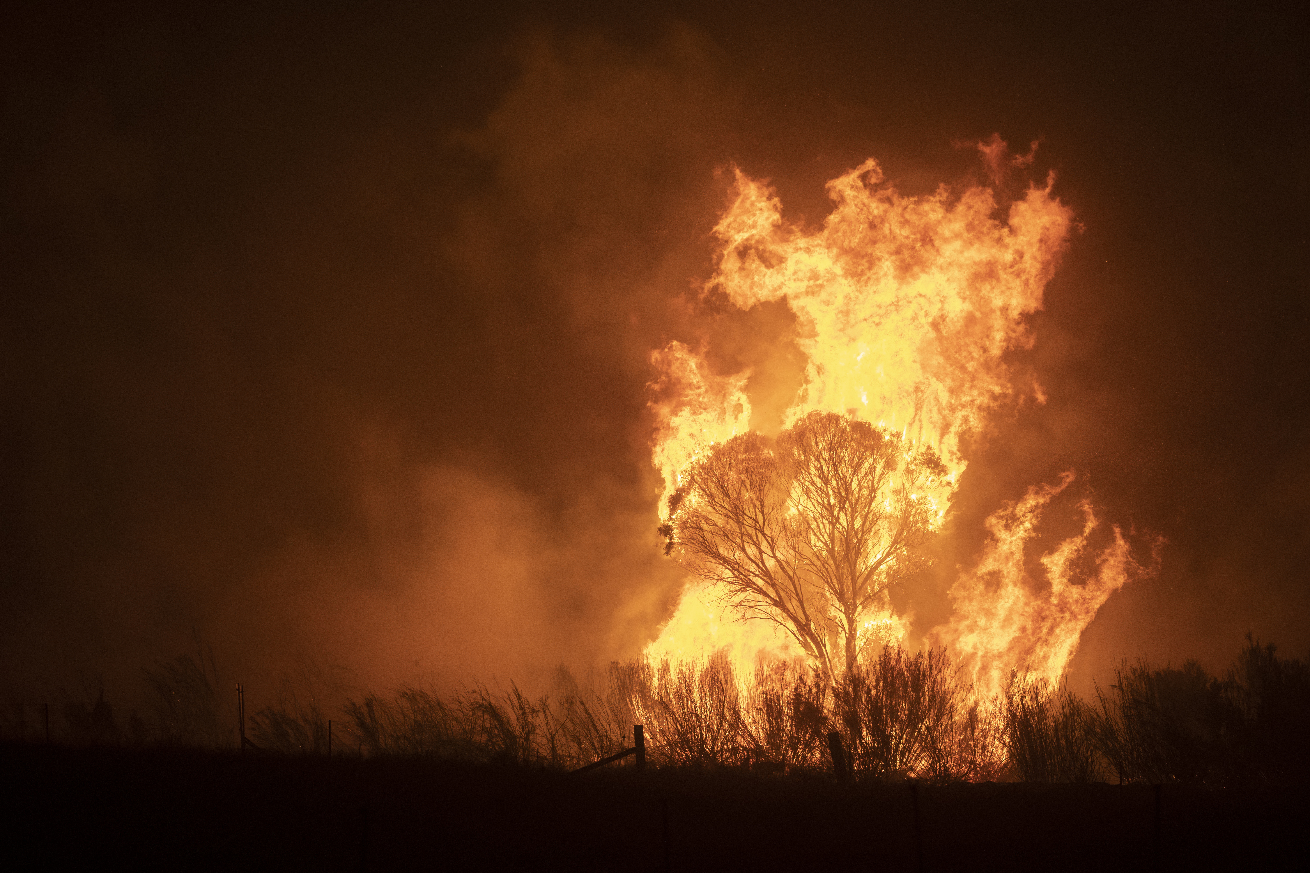 Bushfires in Australia, on the outskirts of Canberra, during black summer.