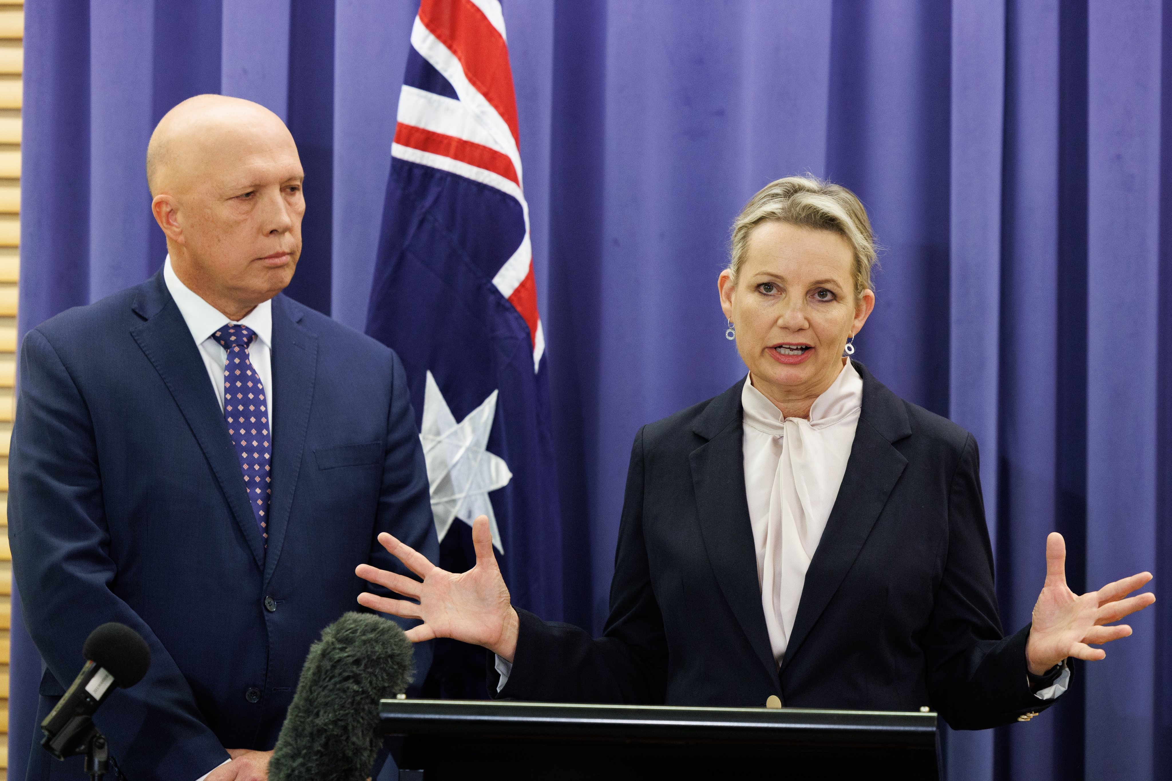 Liberal deputy leader Sussan Ley speaking at Parliament House in Canberra.