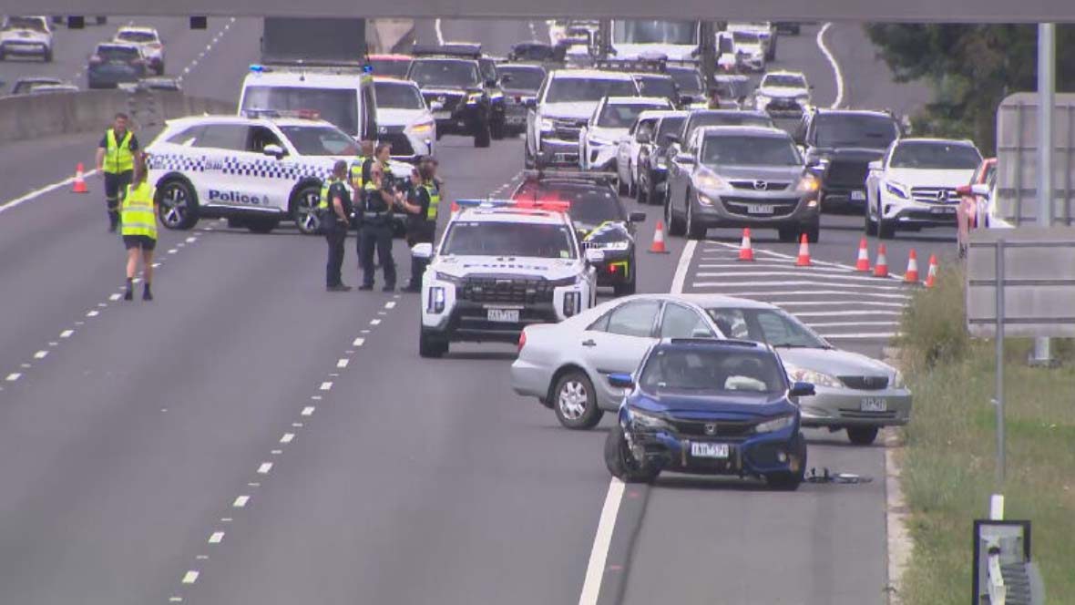 Several masked men then spilled out of the car and began brawling in the middle of the freeway and in front of other drivers.