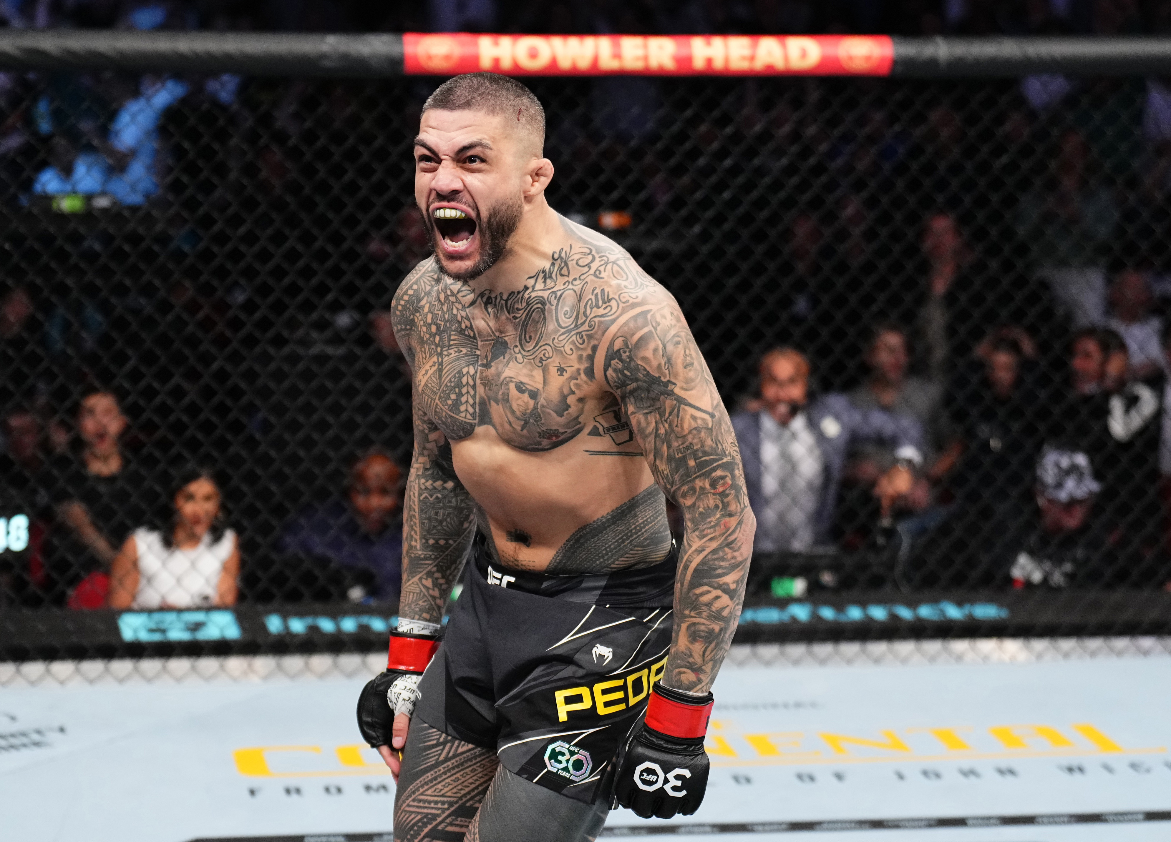 Tyson Pedro of Australia reacts after his knockout victory over Anton Turkalj of Sweden