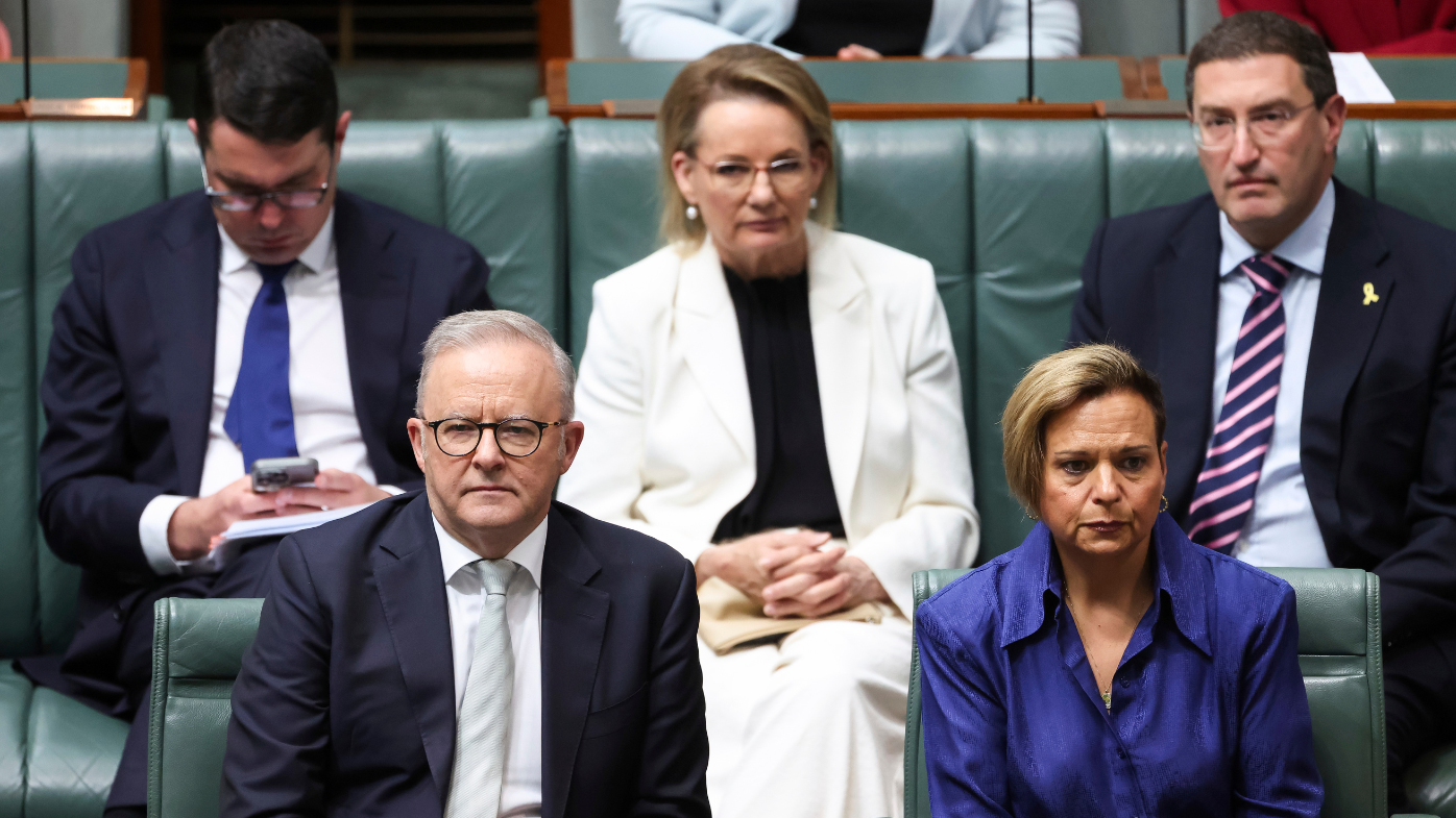 The laws passed the lower house with the support of the Liberals after a deal was hashed out between Anthony Albanese and Sussan Ley.