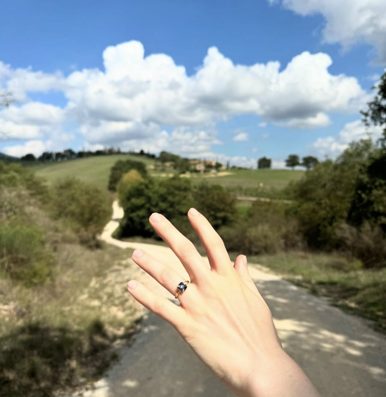 Carly Rae Jepsen engaged