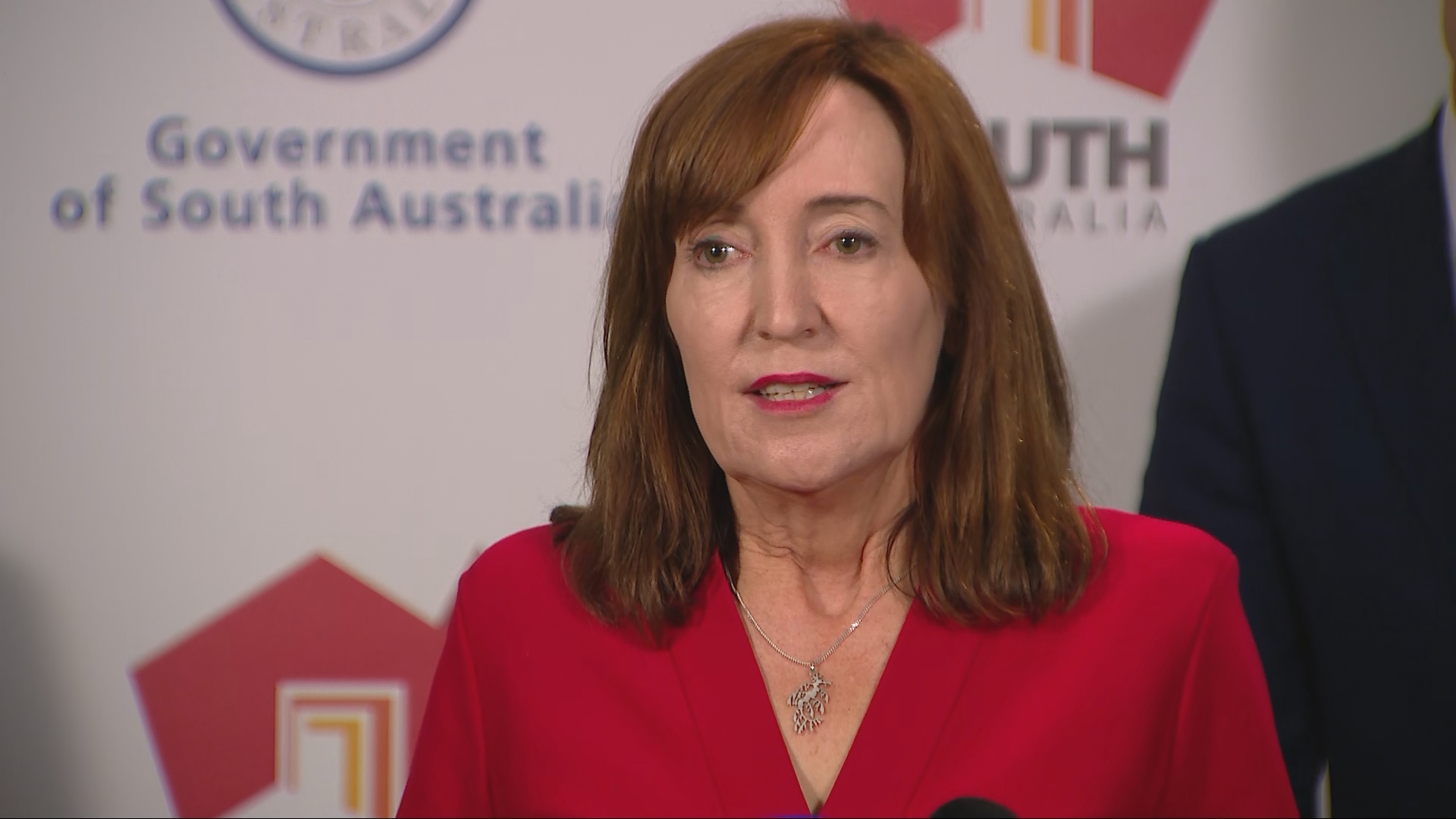 Two of South Australia's most senior cabinet ministers, Deputy Premier Susan Close and Treasurer Stephen Mullighan, will quit politics at next year's state election in March.