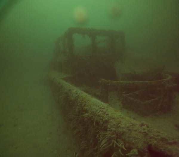 Usually teeming with life, the eerie scene was like an underwater graveyard, Tozer said.