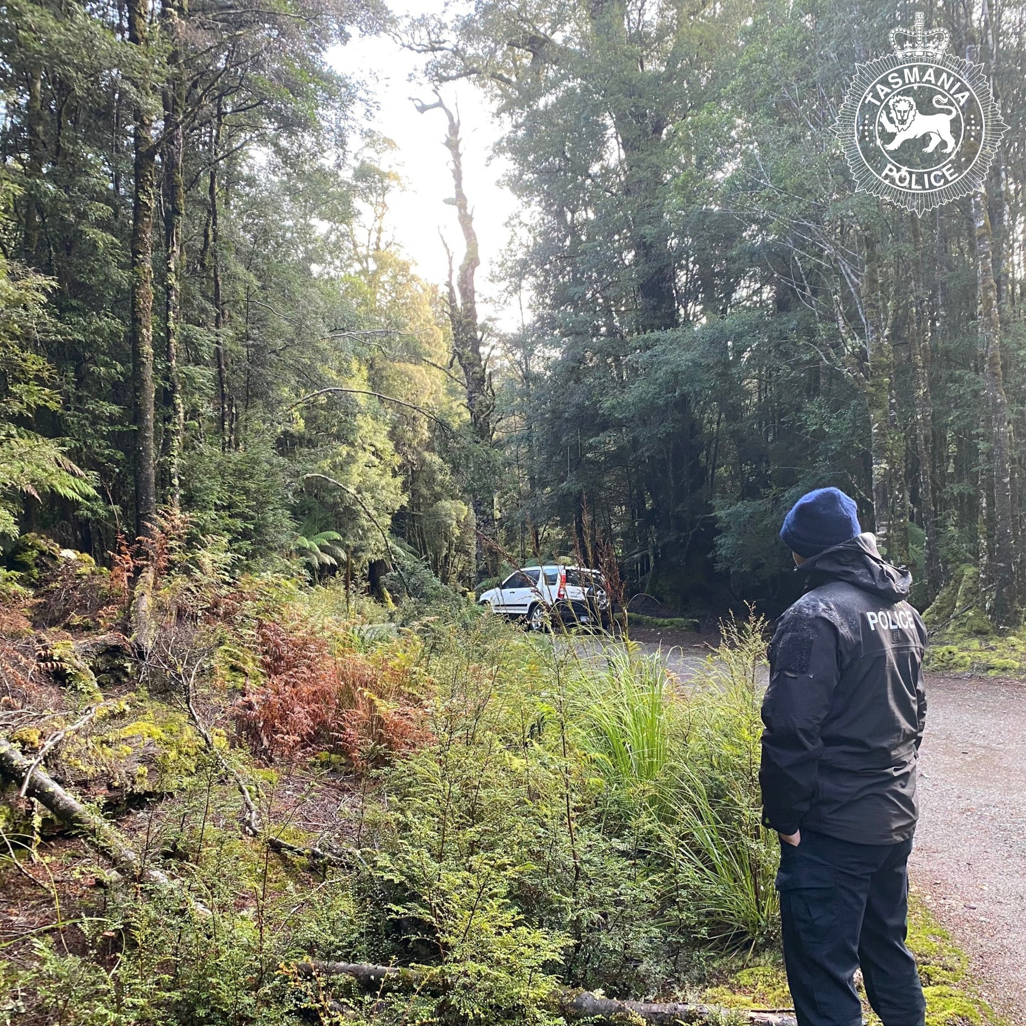 Police are continuing to search the Philosopher Falls Track area at Waratah for Celine Cremer. 