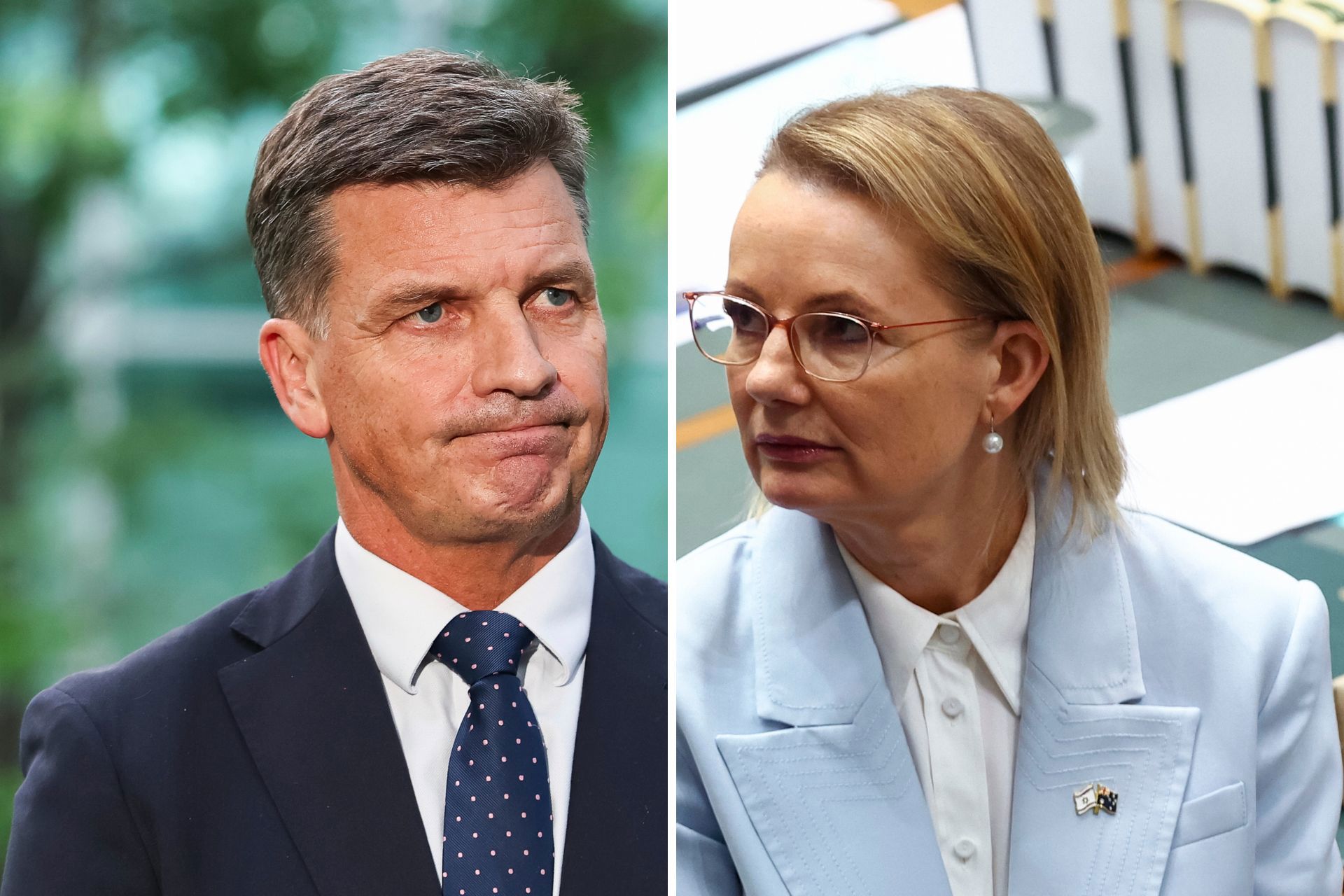 Angus Taylor poised to grab Liberal leadership from Sussan Ley