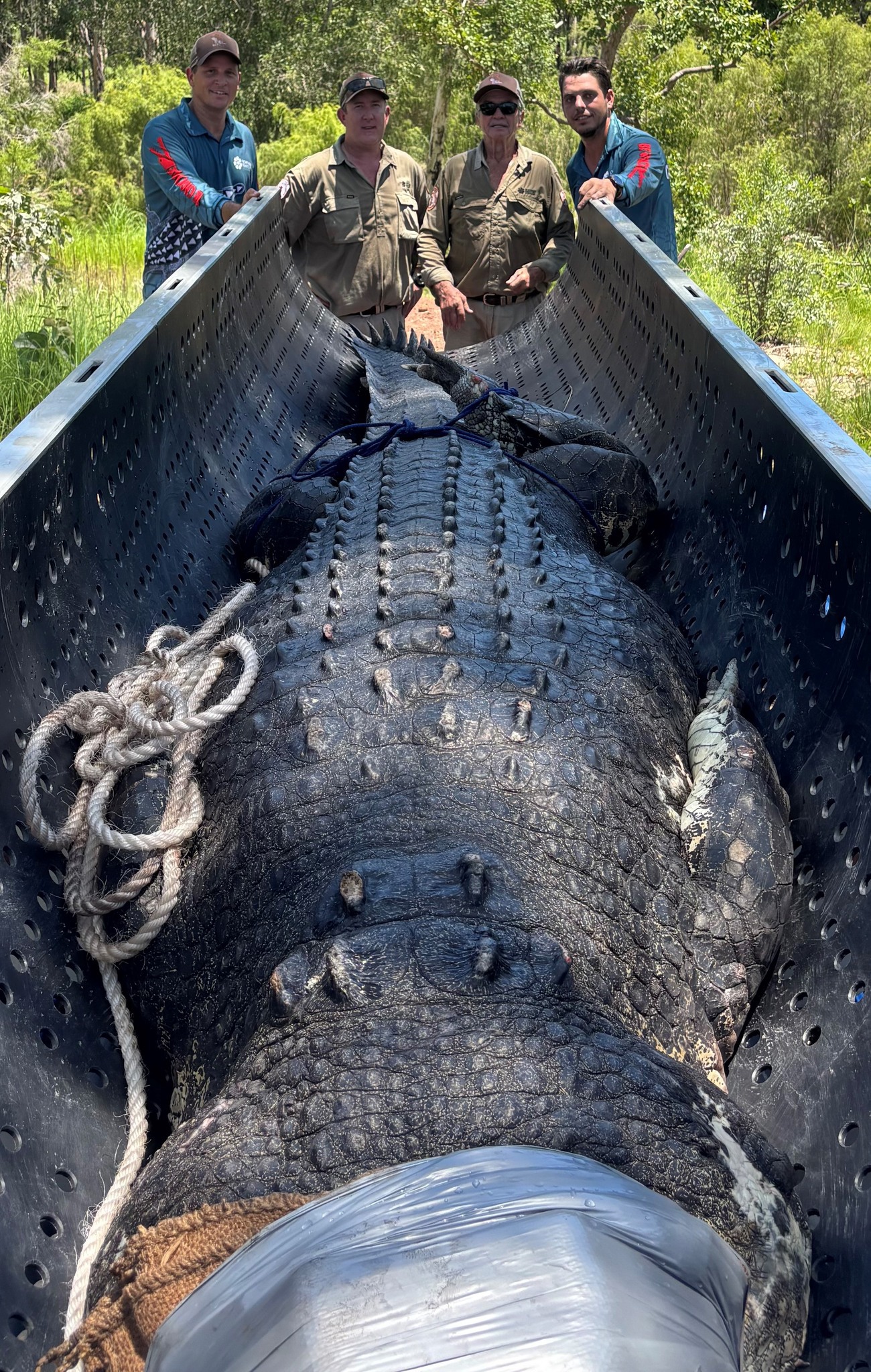 A massive 4.9-metre saltwater crocodile has been spotted at a popular swimming spot in the Northern Territory at the height of the wet season. 