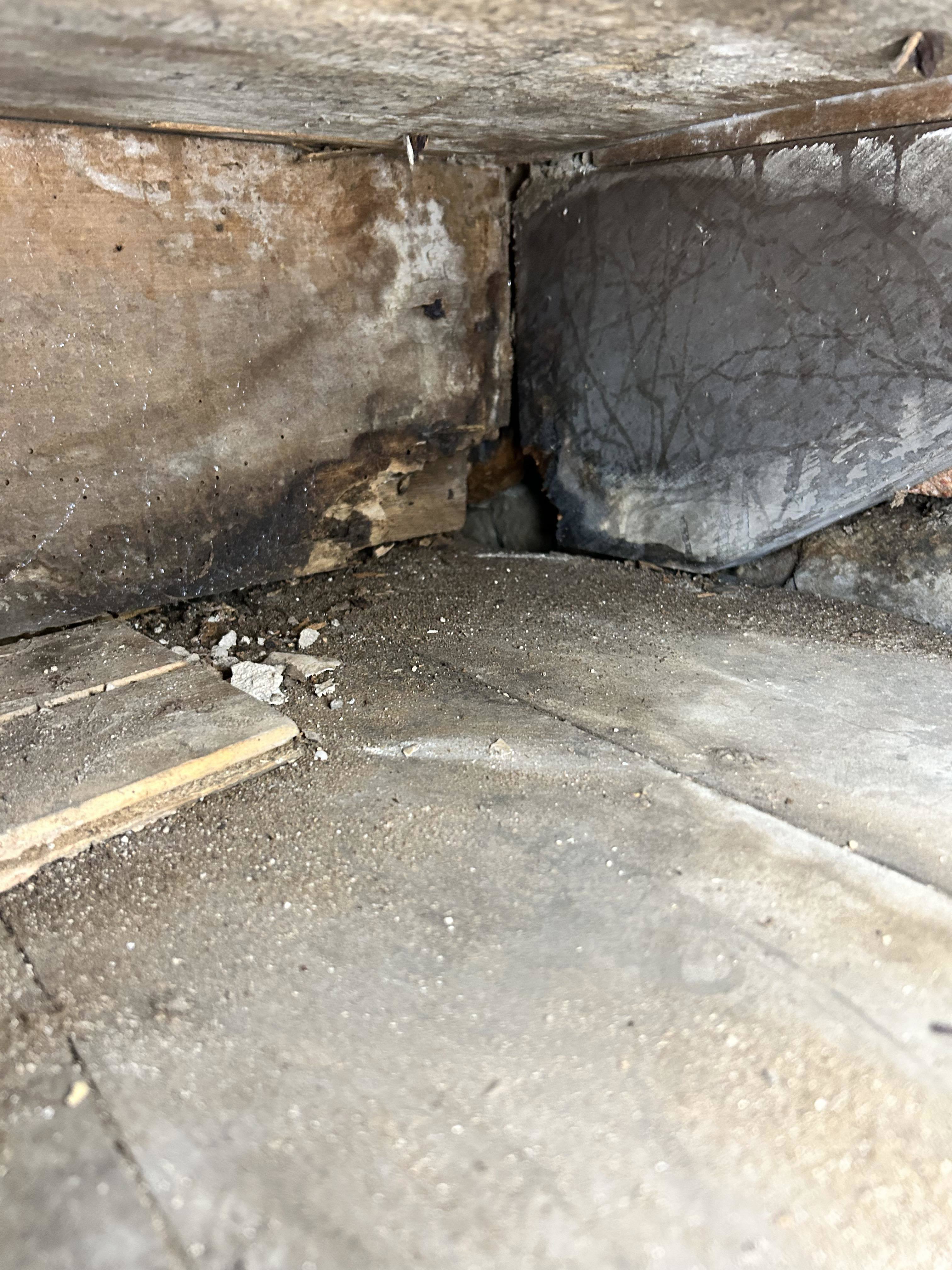 Rats have eaten through the parts of Brad Power's home he is renting in Glebe.