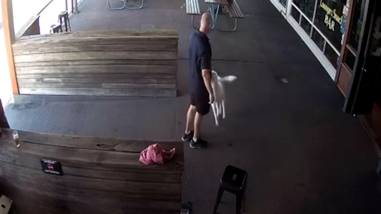 Dog runs up to publican at RodnReel Hotel causing him to drop glasses.