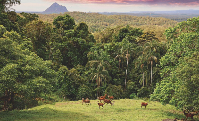 'Jurassic Park' property gets snapped up after listing for $3.8 million.