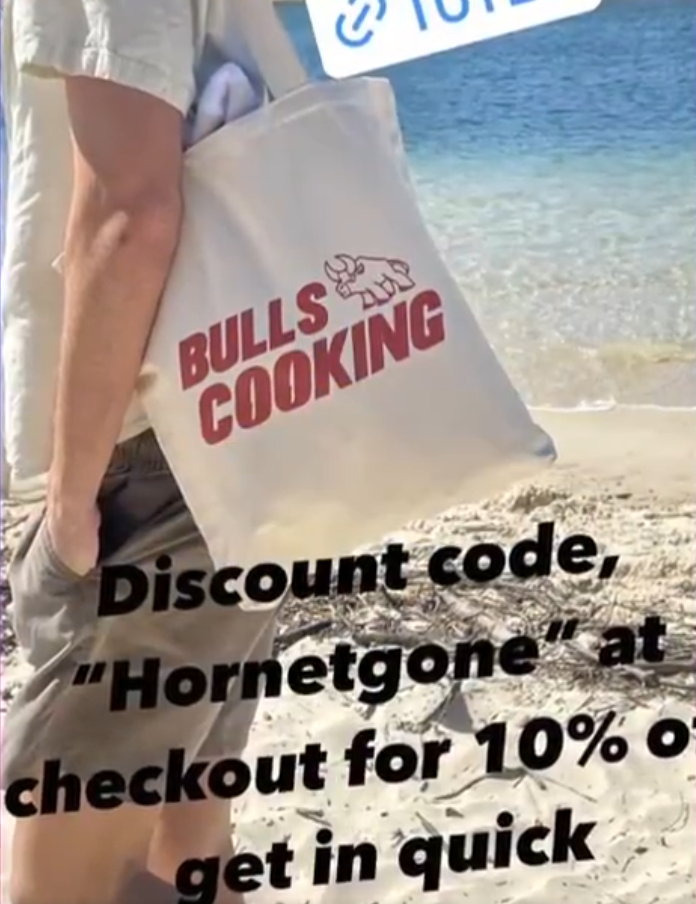 Zurhaar's Instagram story advertising the discount totes.