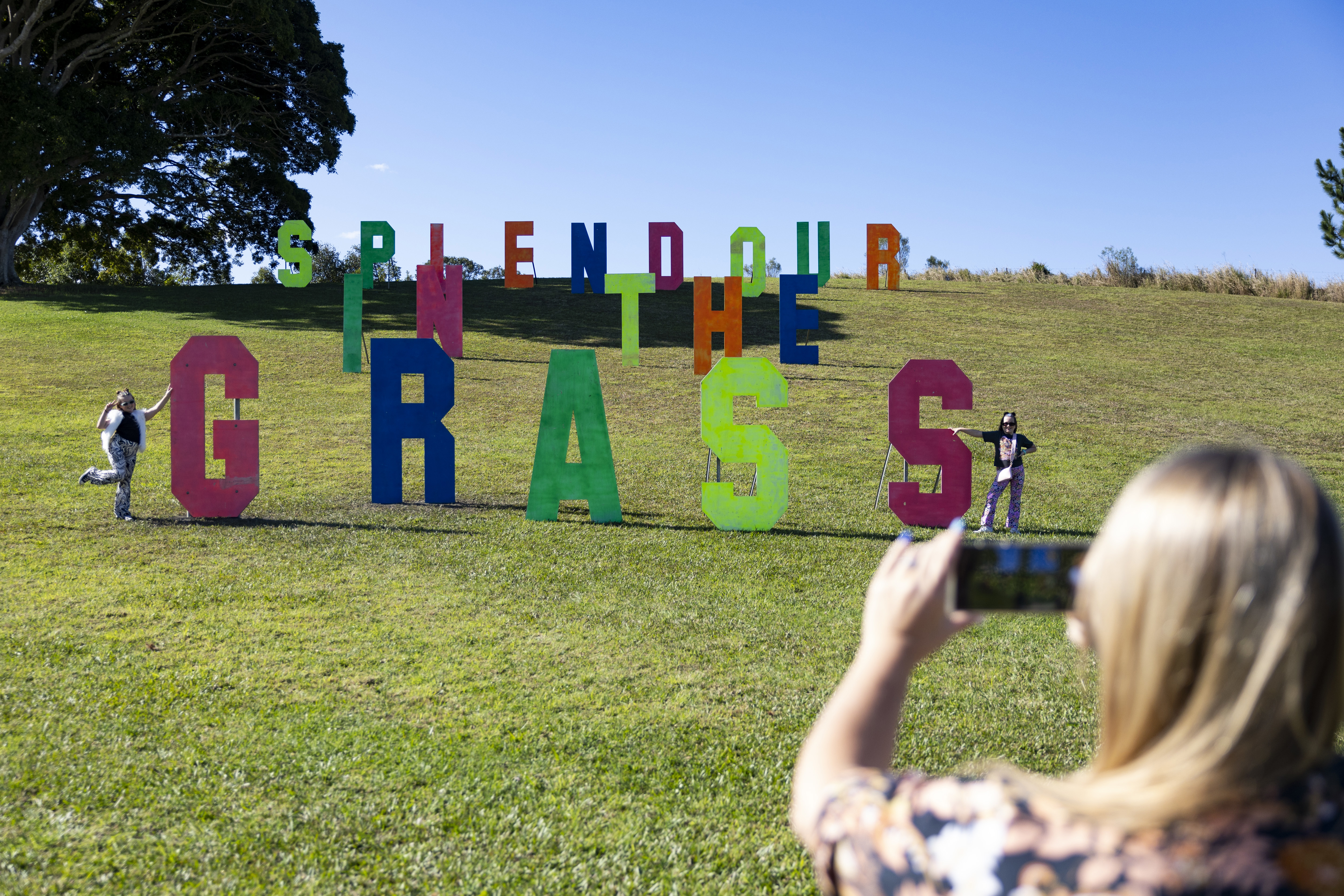 Splendour in the Grass