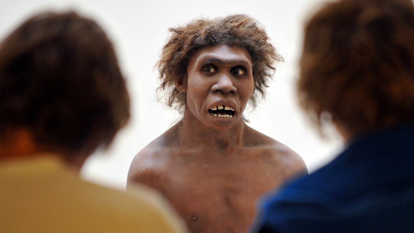 All humans have some Neanderthal DNA, according to new research.
