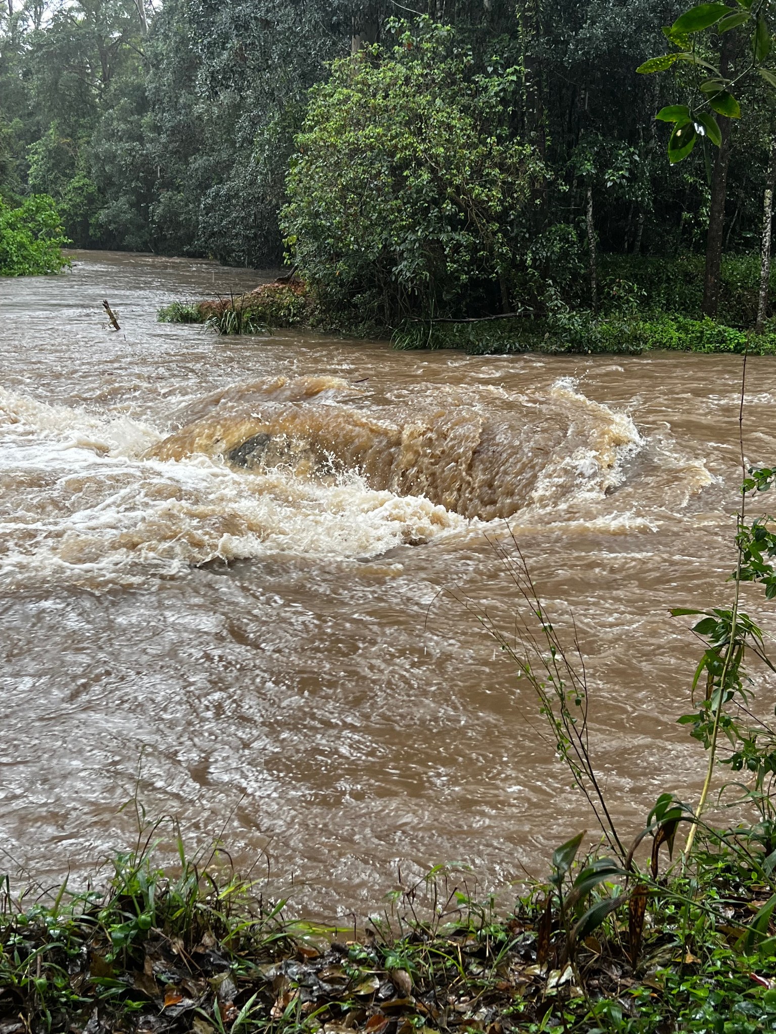 Car submerged by floodwaters on NSW Mid North Coast.