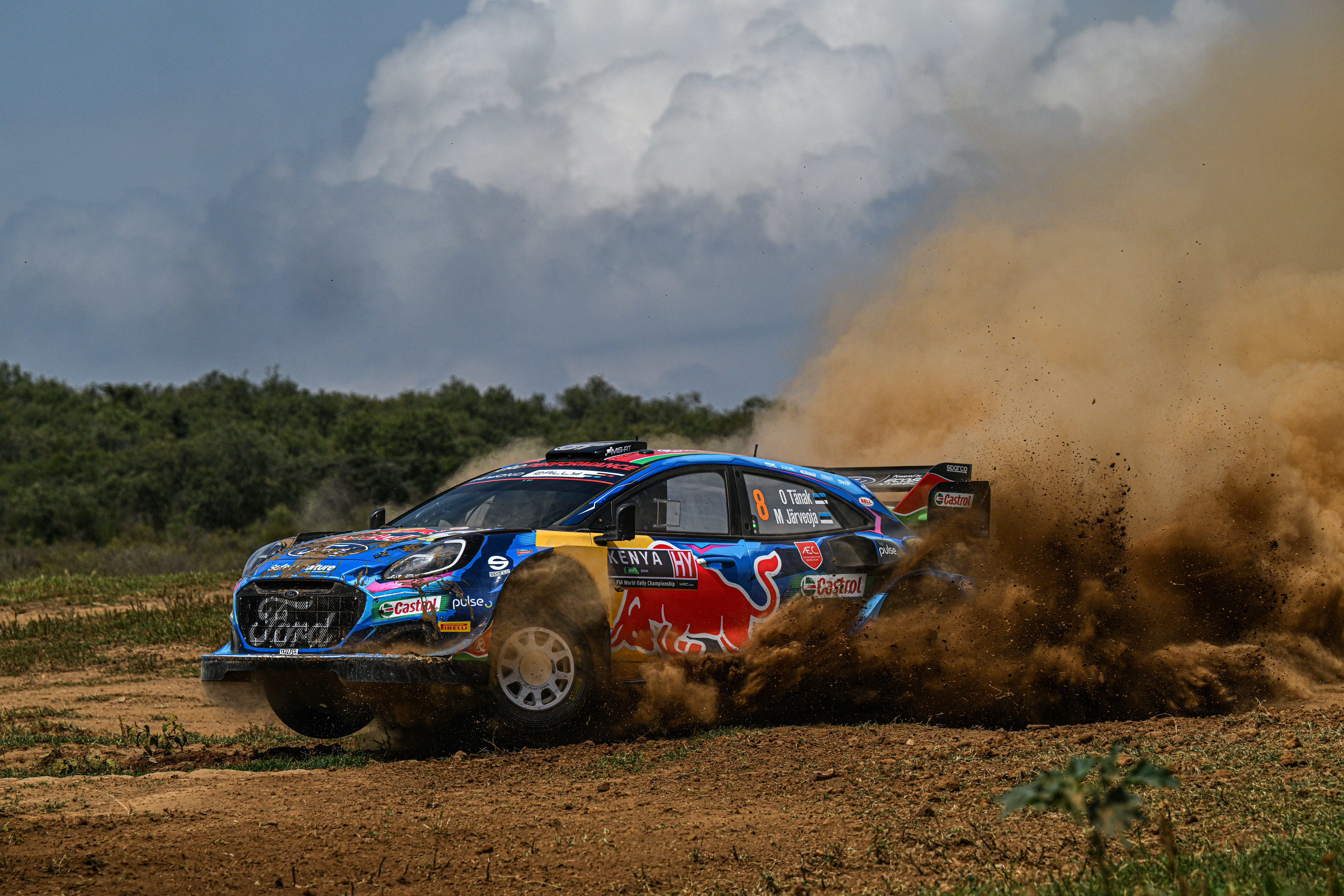 Ott Tanak was among those to come across zebras on special stage two at Rally Safari Kenya.