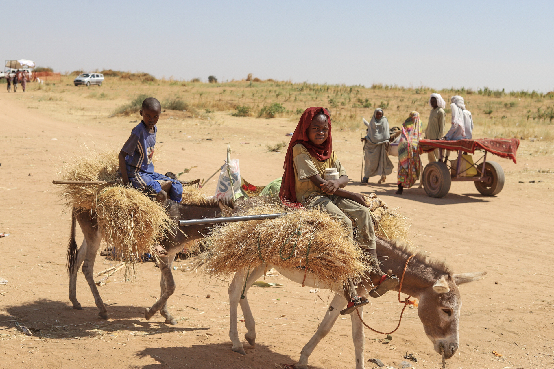 Sudanese who fled el-Fasher city, after Sudan's paramilitary forces killed hundreds of people in the western Darfur region, carry firewood at their camp in Tawila, Sudan, Wednesday, Oct. 29, 2025. 