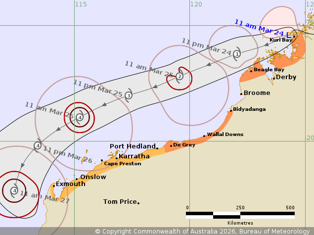 narelle cyclone