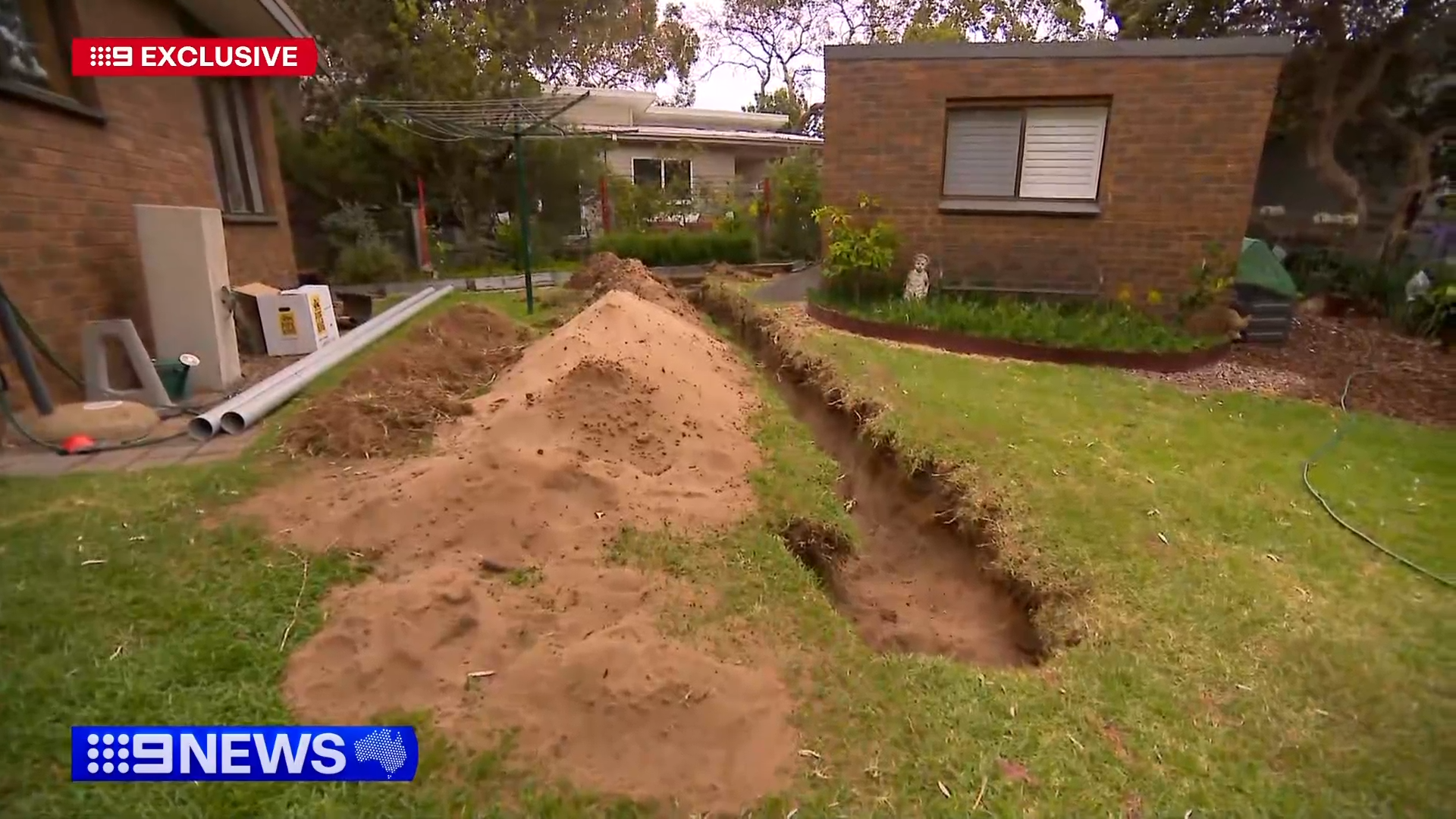 The skull and bones were found yesterday in a shallow grave in Greg's backyard.