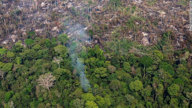Despite spending tens of millions of dollars each year trying to keep mosquito populations down through island-wide fogging efforts there is still a rise in dengue infections and mosquito clusters.