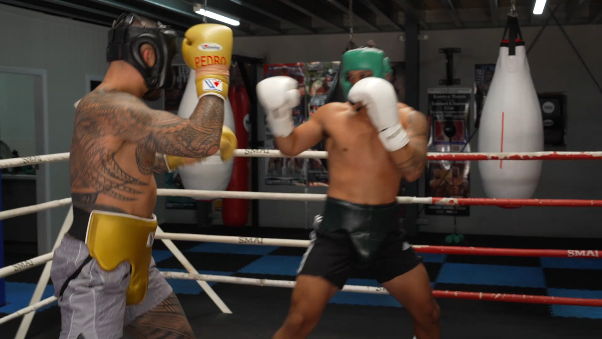 Tyson Pedro spars with Jai Opetaia ahead of his Kris Terzievski fight.