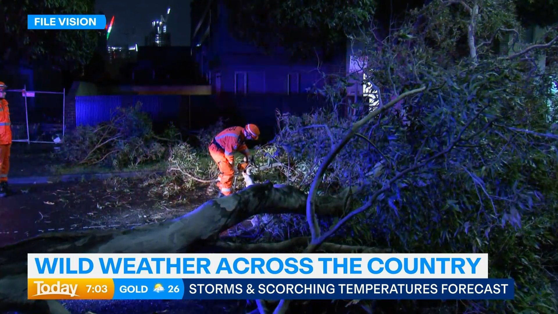 SES crews working on a fallen tree.