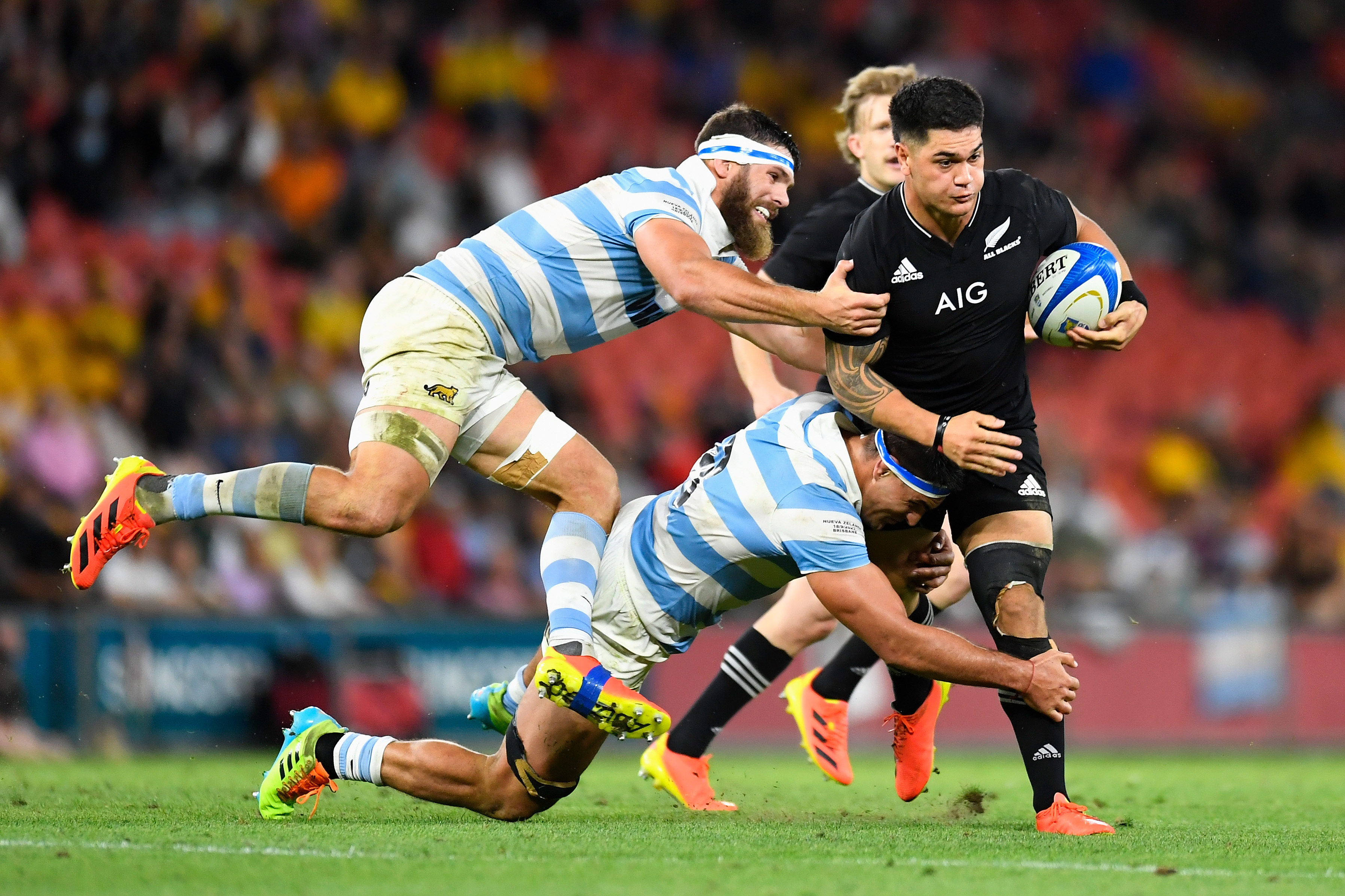 Los Pumas FIRING!, Argentina v Japan Highlights