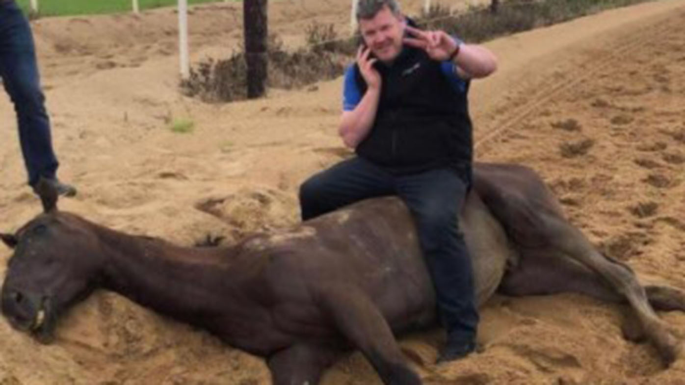 Gordon Elliott Dead Horse Photo Apology From Grand National Winning Trainer