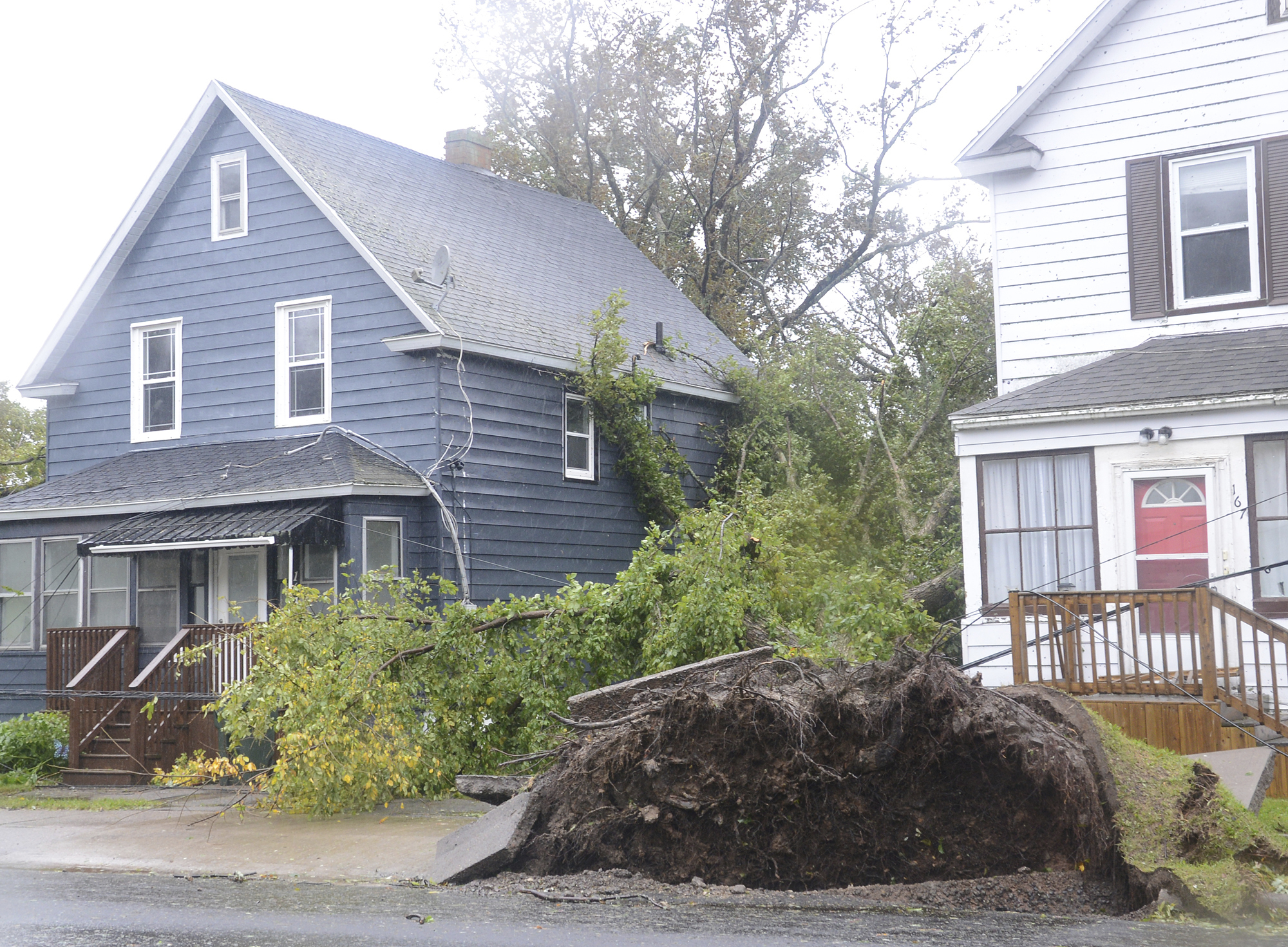 Fallen trees lean against a house in Sydney, N.S. as post tropical storm Fiona continues to batter the Maritimes on Saturday, Sept. 24, 2022.  (Vaughan Merchant /The Canadian Press via AP)
