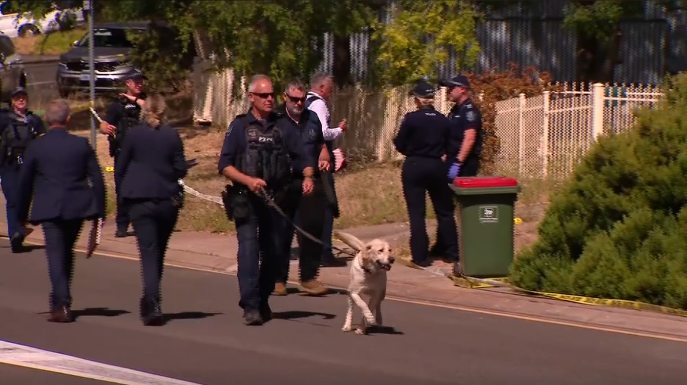 Dogs were used during the search.