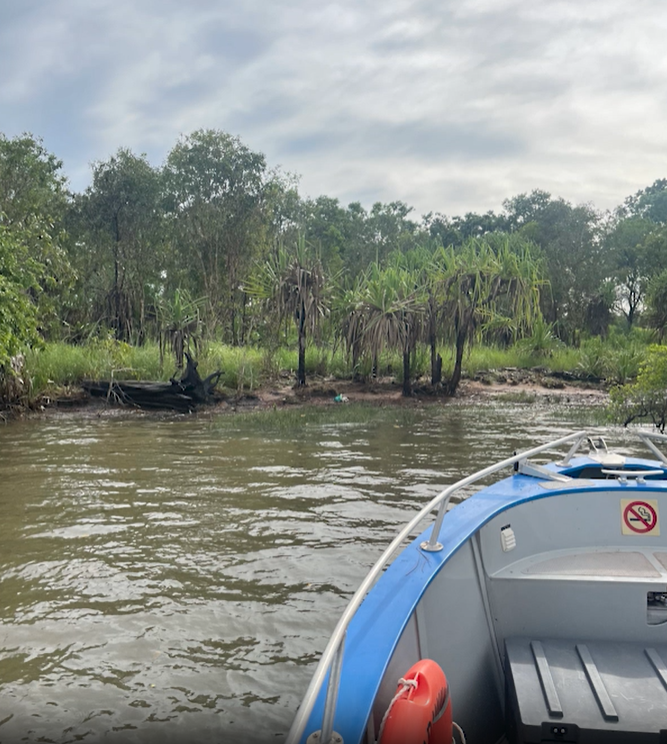 Human remains have been found inside a crocodile during the search for a 60-year-old man missing from Far North Queensland. 