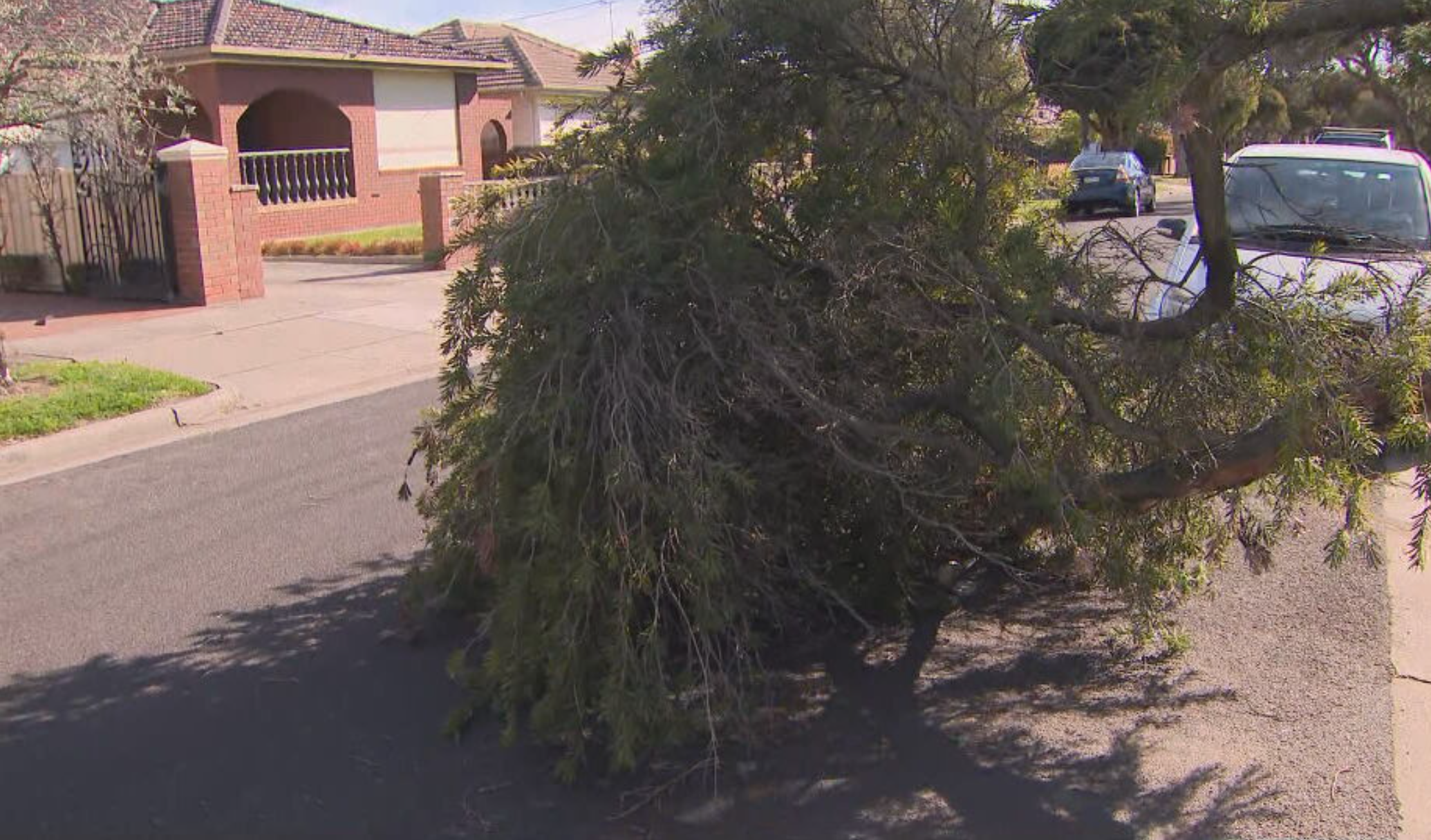 Wild winds Melbourne