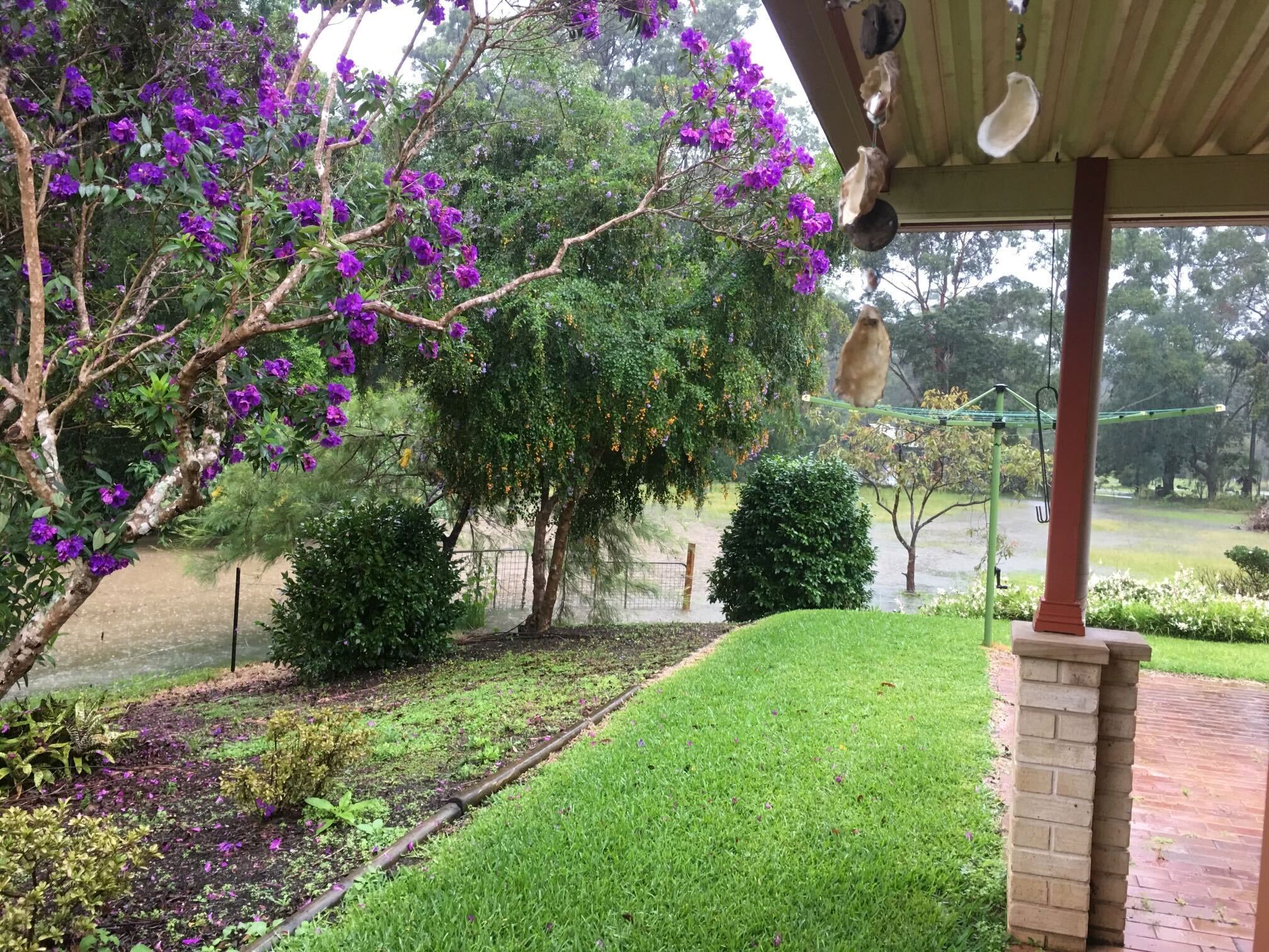 Views from Stephanie Henderson's Lansdowne, NSW home during the 2021 floods.