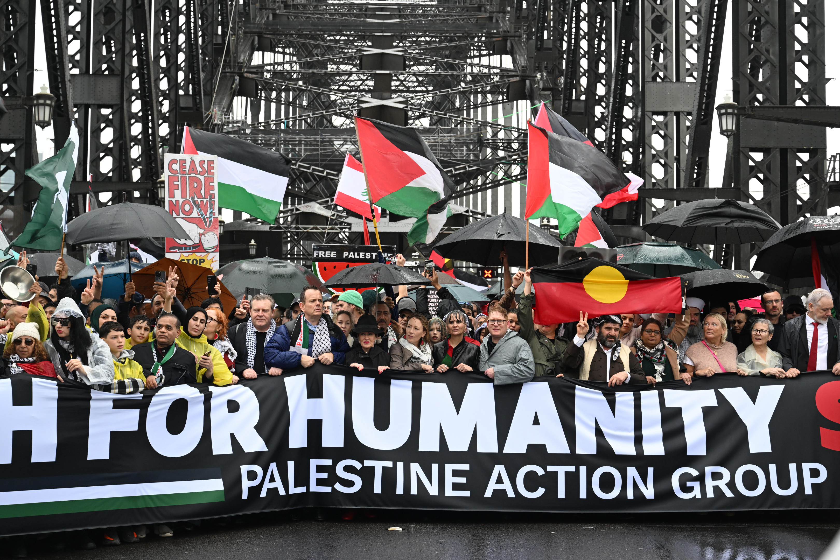 Pro-Palestine protesters march across the Sydney Harbour Bridge to bring attention to the ongoing Israel bombing and aid restrictions to Gaza. 3 August 2025 Photo: Janie Barrett
